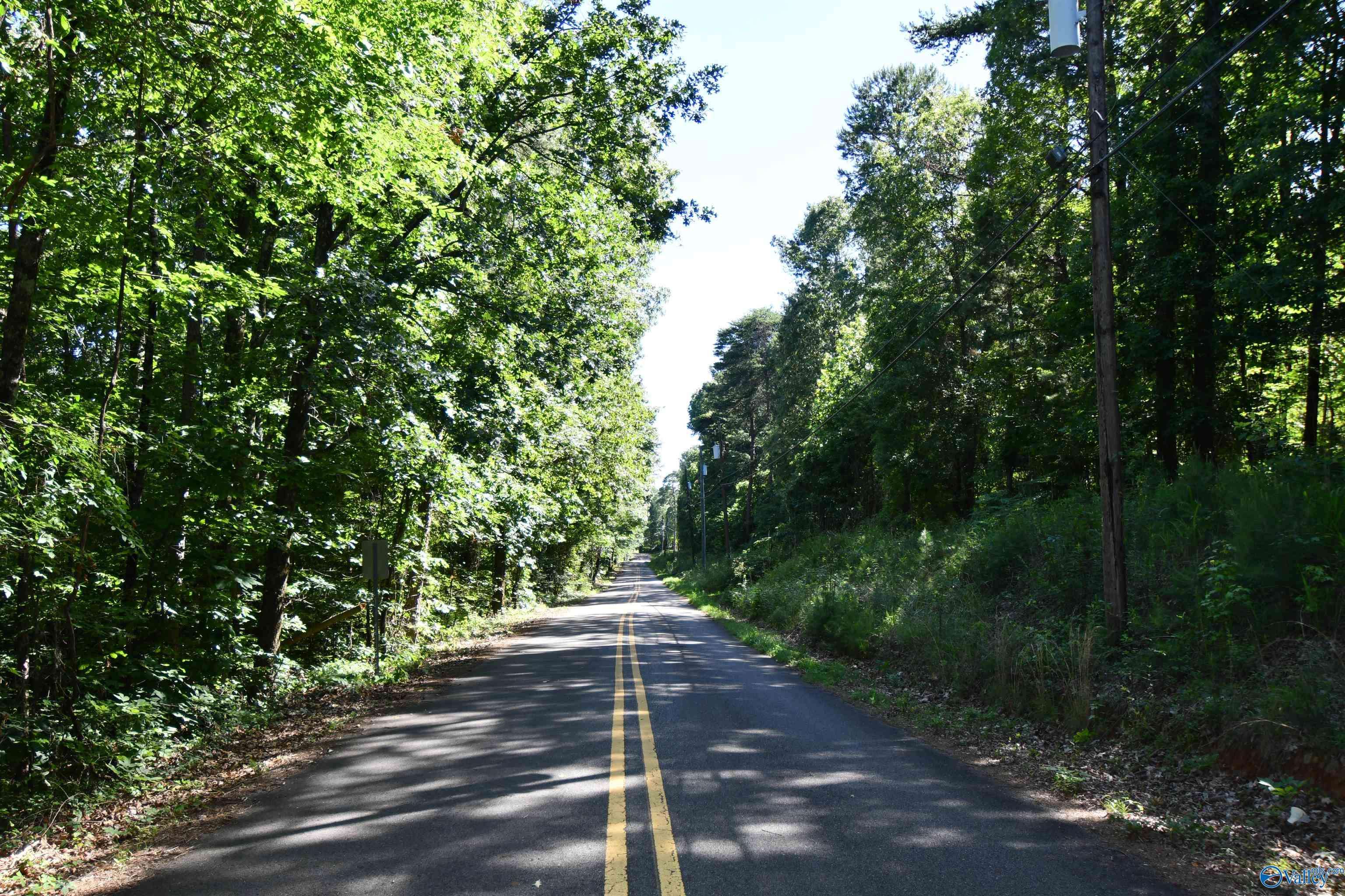Gadsden, AL 35904,5.86 AC Scenic Highway