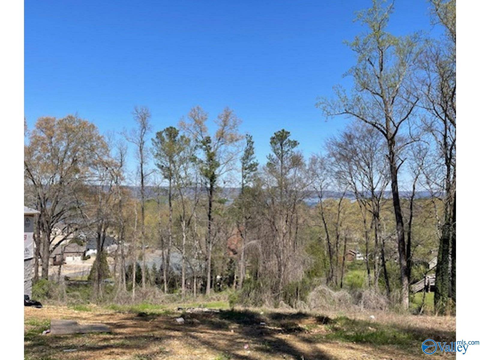 Guntersville, AL 35976,Lot 2 Hickory Hill Drive