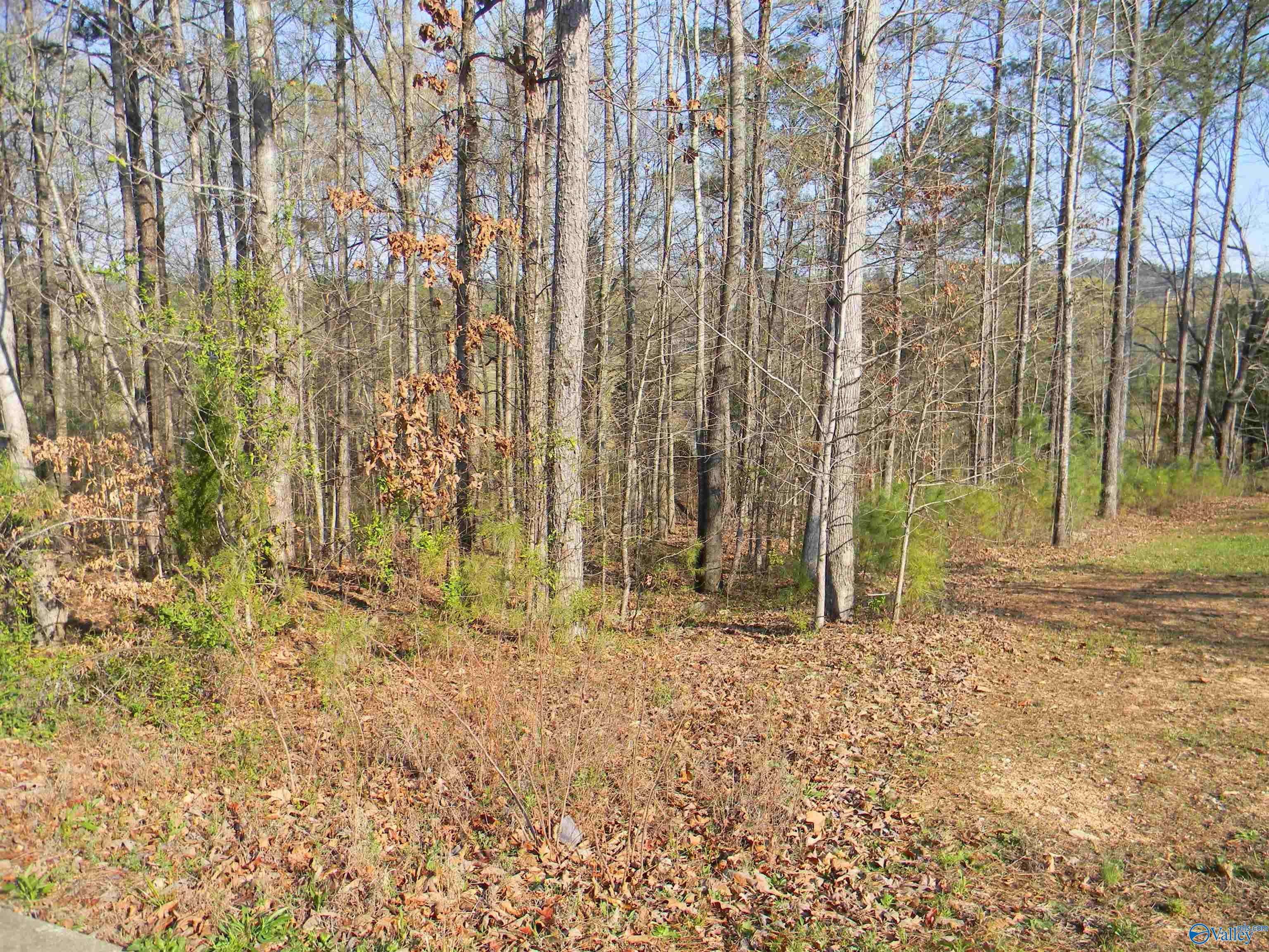 Leesburg, AL 35983,Lot 16 Cade Circle