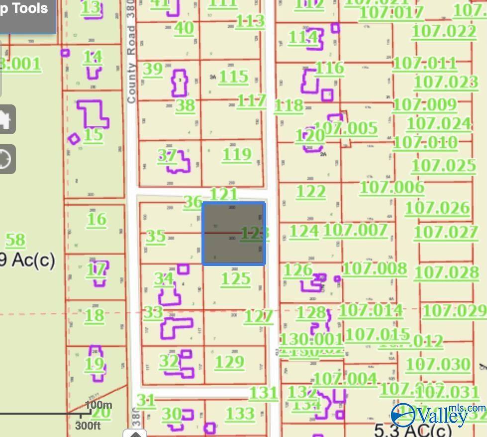 Centre, AL 35960,Lot 9 County Road 461