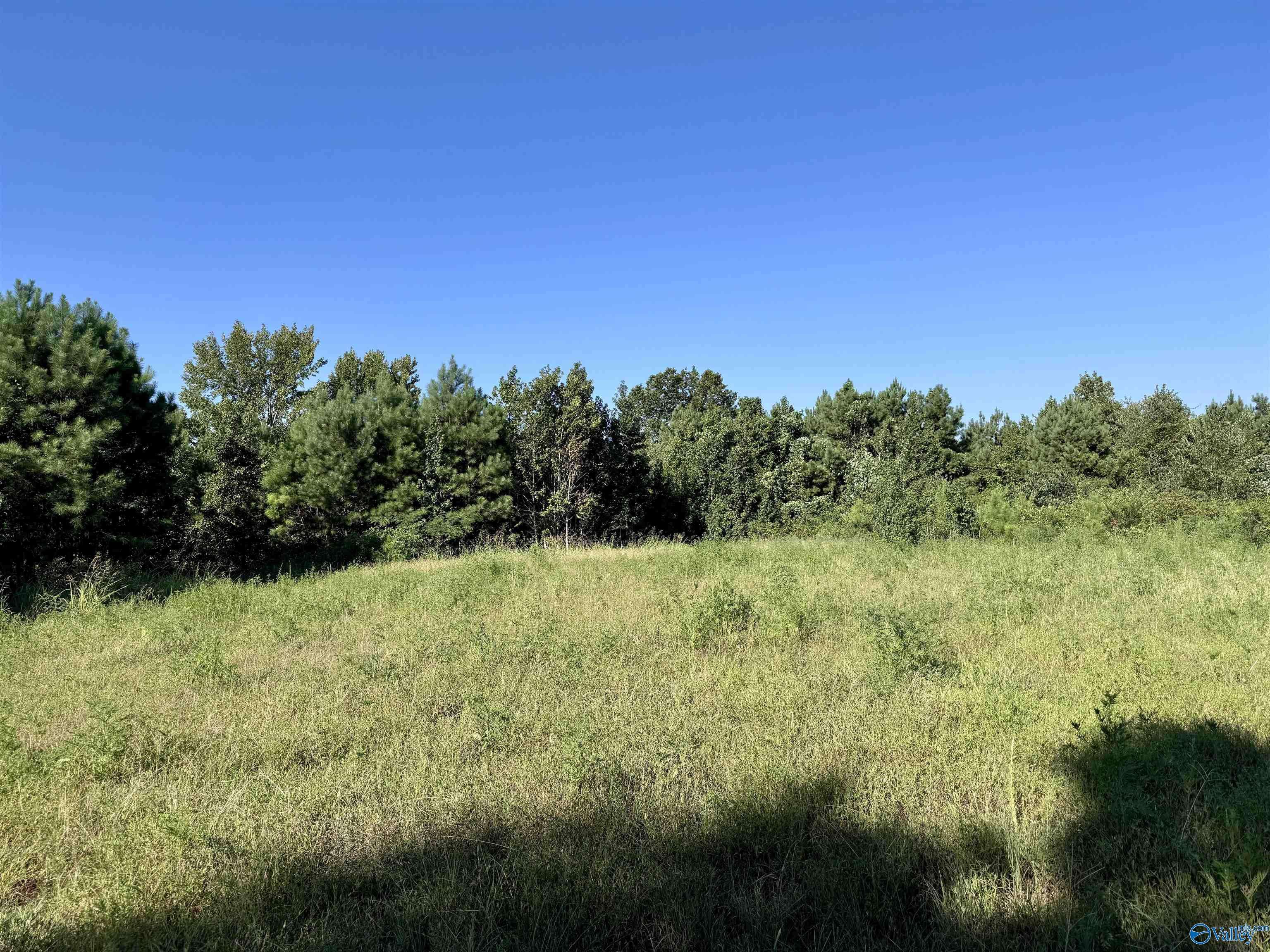 Vinemont, AL 35179,33+/- Acres County Road 1101