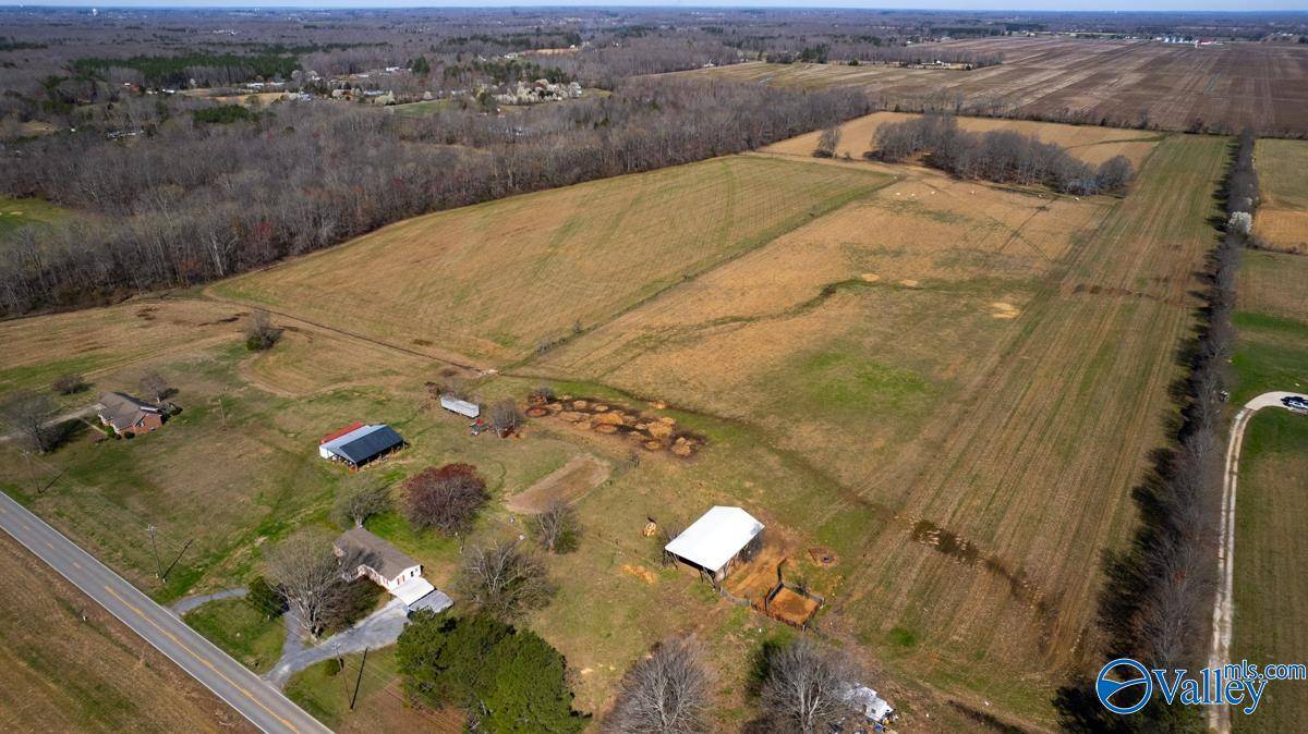 Toney, AL 35773,42.8 Acres Ready Section Road