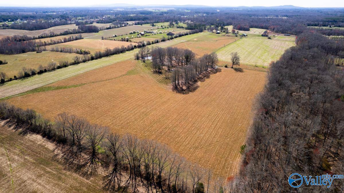 Toney, AL 35773,42.8 Acres Ready Section Road