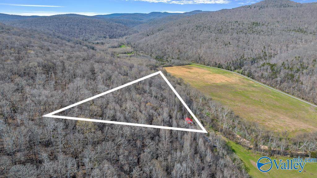 Estillfork, AL 35745,4830 County Road 27
