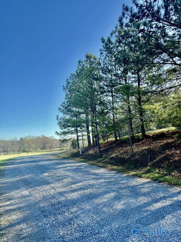 Ashville, AL 35953,741 Poplar Springs Trail