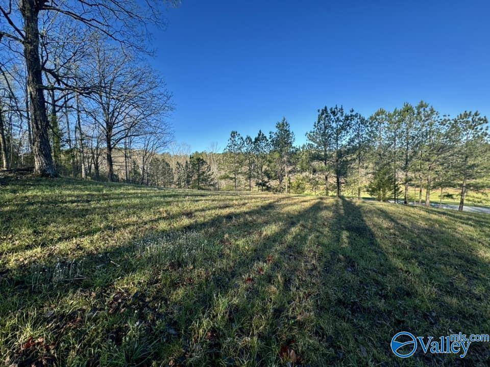 Ashville, AL 35953,741 Poplar Springs Trail