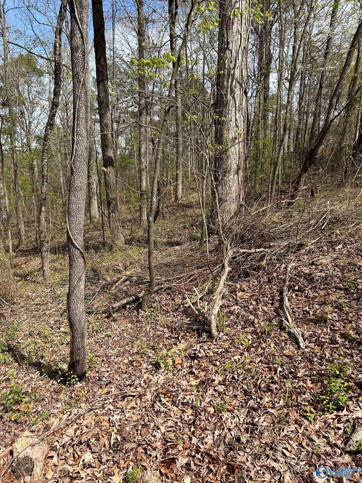 Southside, AL 35907,LOT 3 Mountain Top Drive