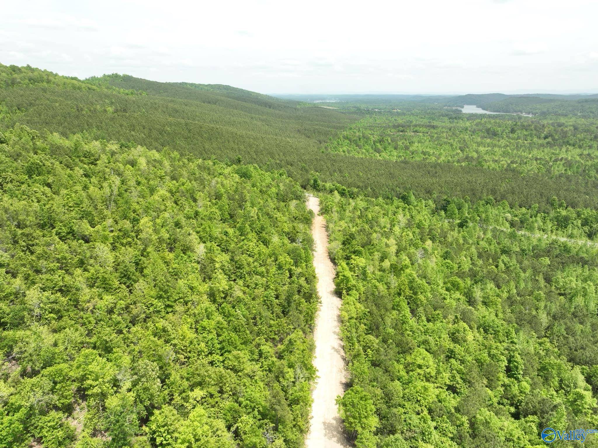 Ashville, AL 35953,170 acres County Road 21