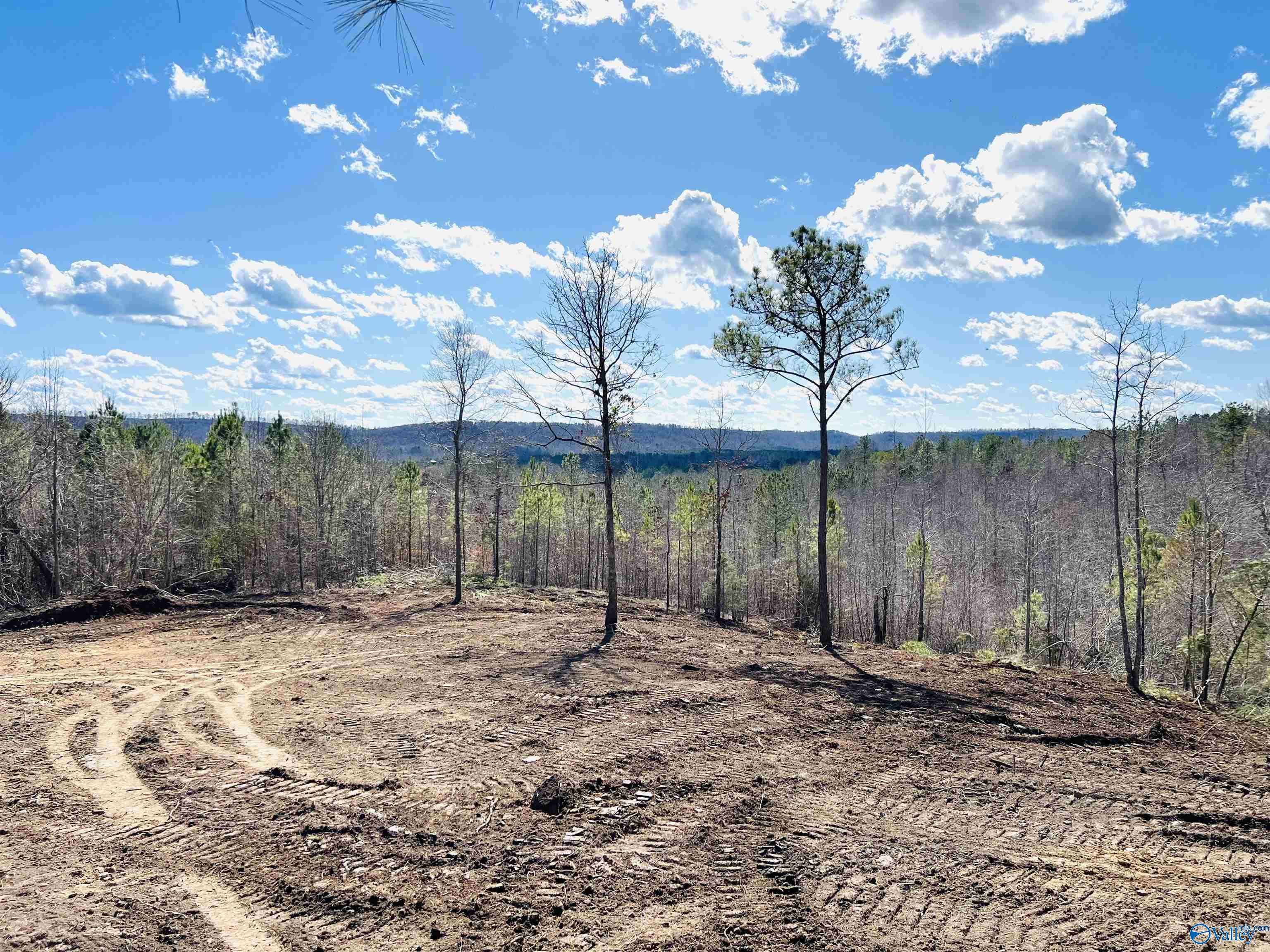 Ashville, AL 35953,170 acres County Road 21