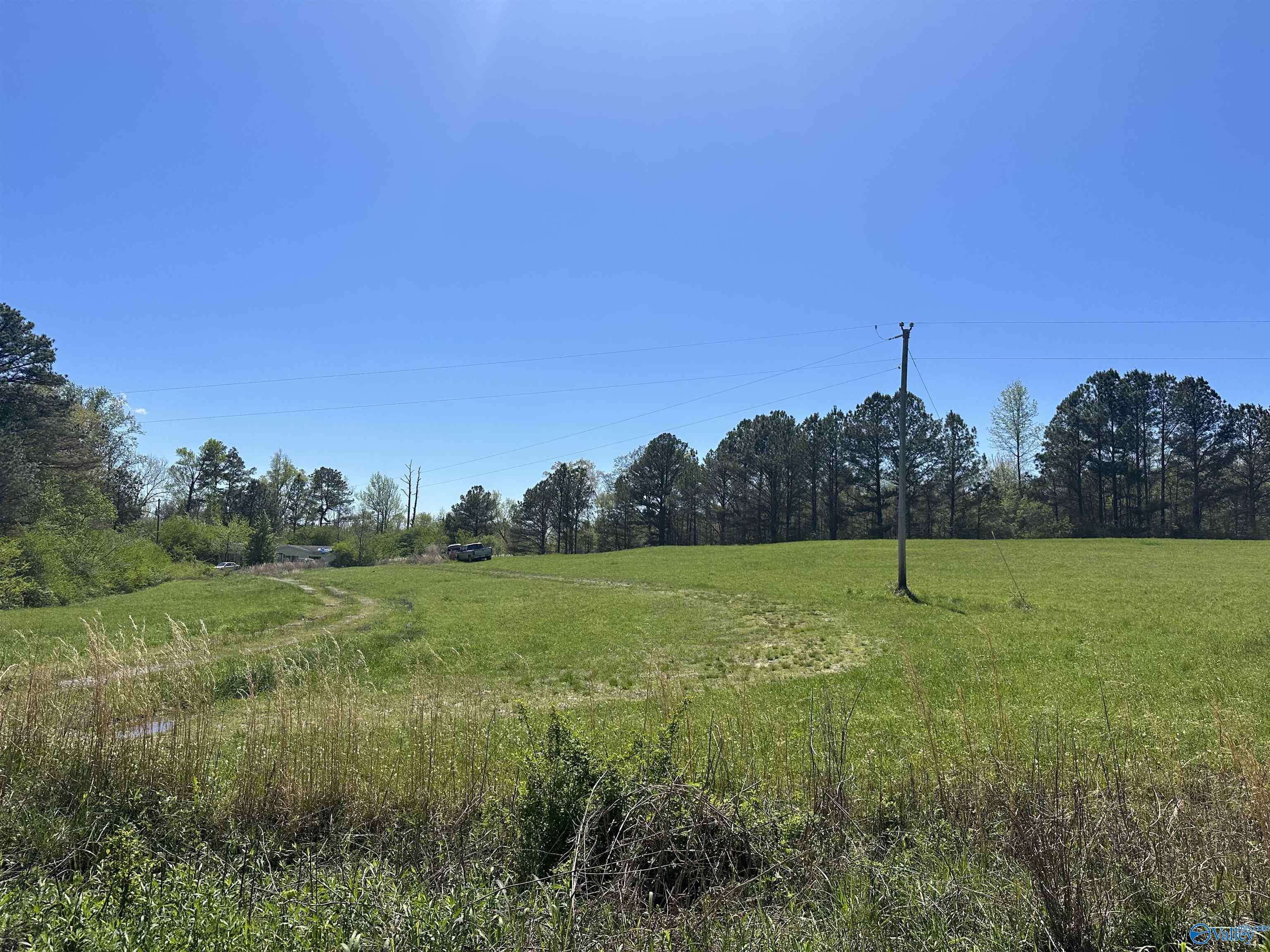 Vinemont, AL 35179,17 Acres County Road 1061