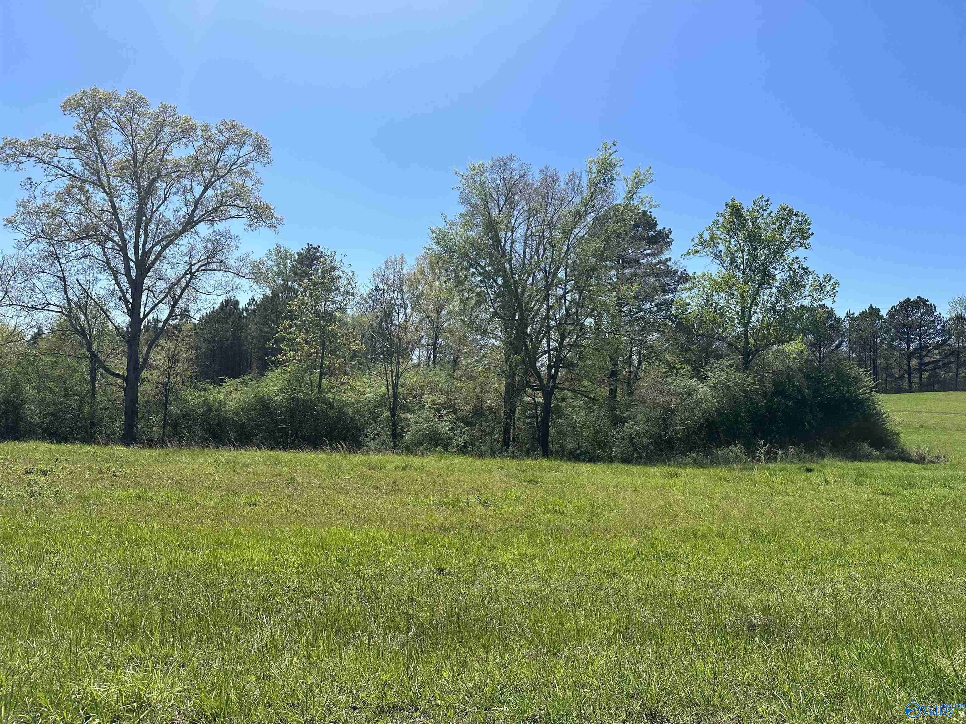 Vinemont, AL 35179,17 Acres County Road 1061