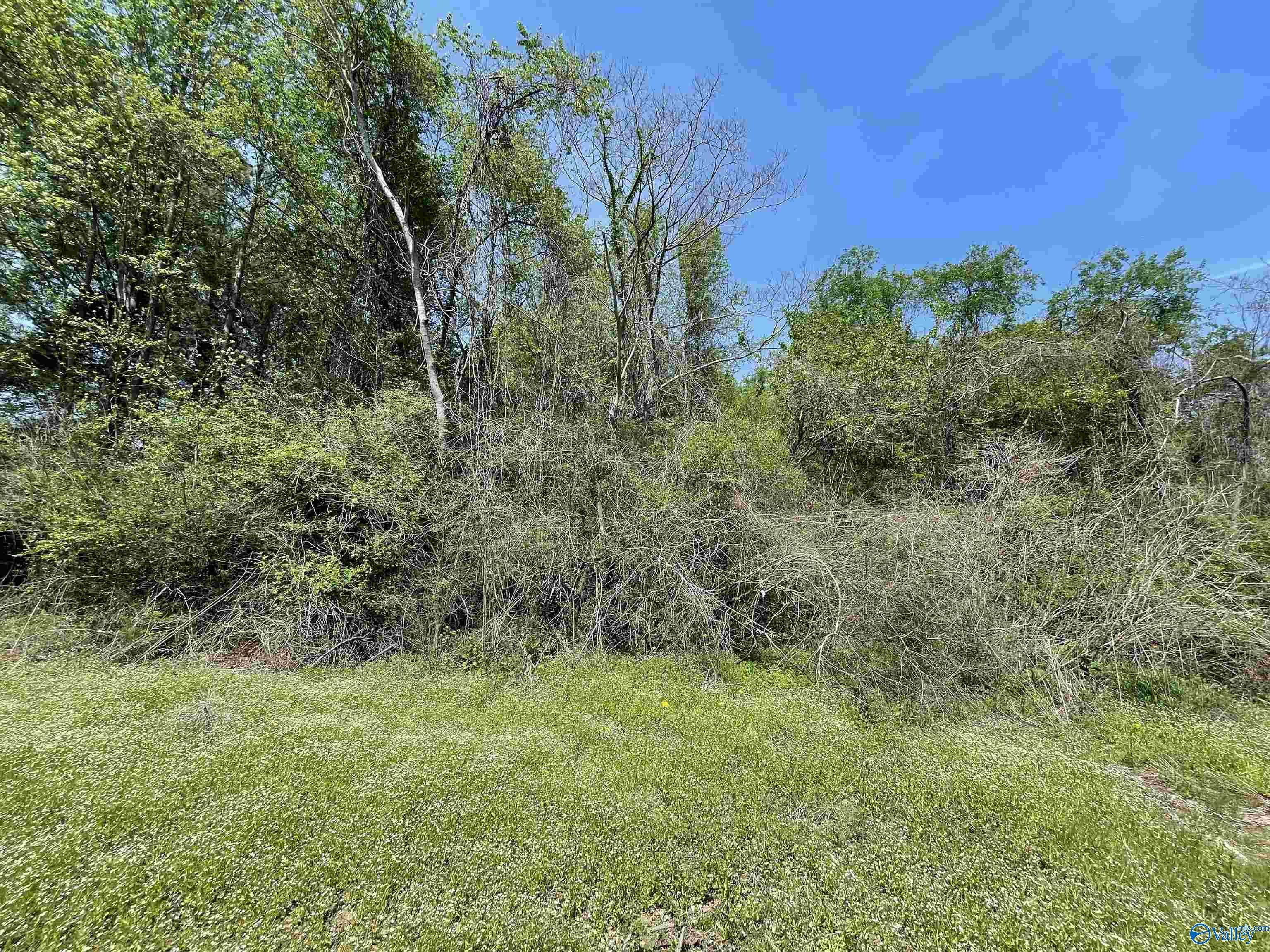 Decatur, AL 35603,4 Acres Laurel Street SW