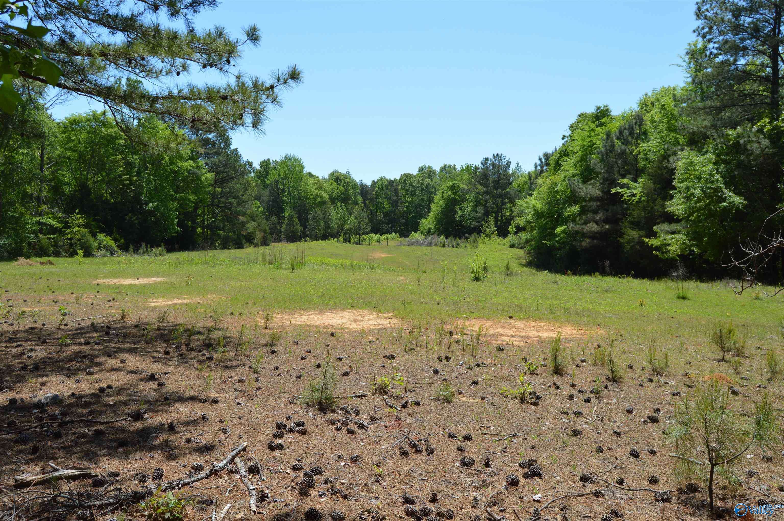 Hartselle, AL 35640,19.55 AC Herring Road