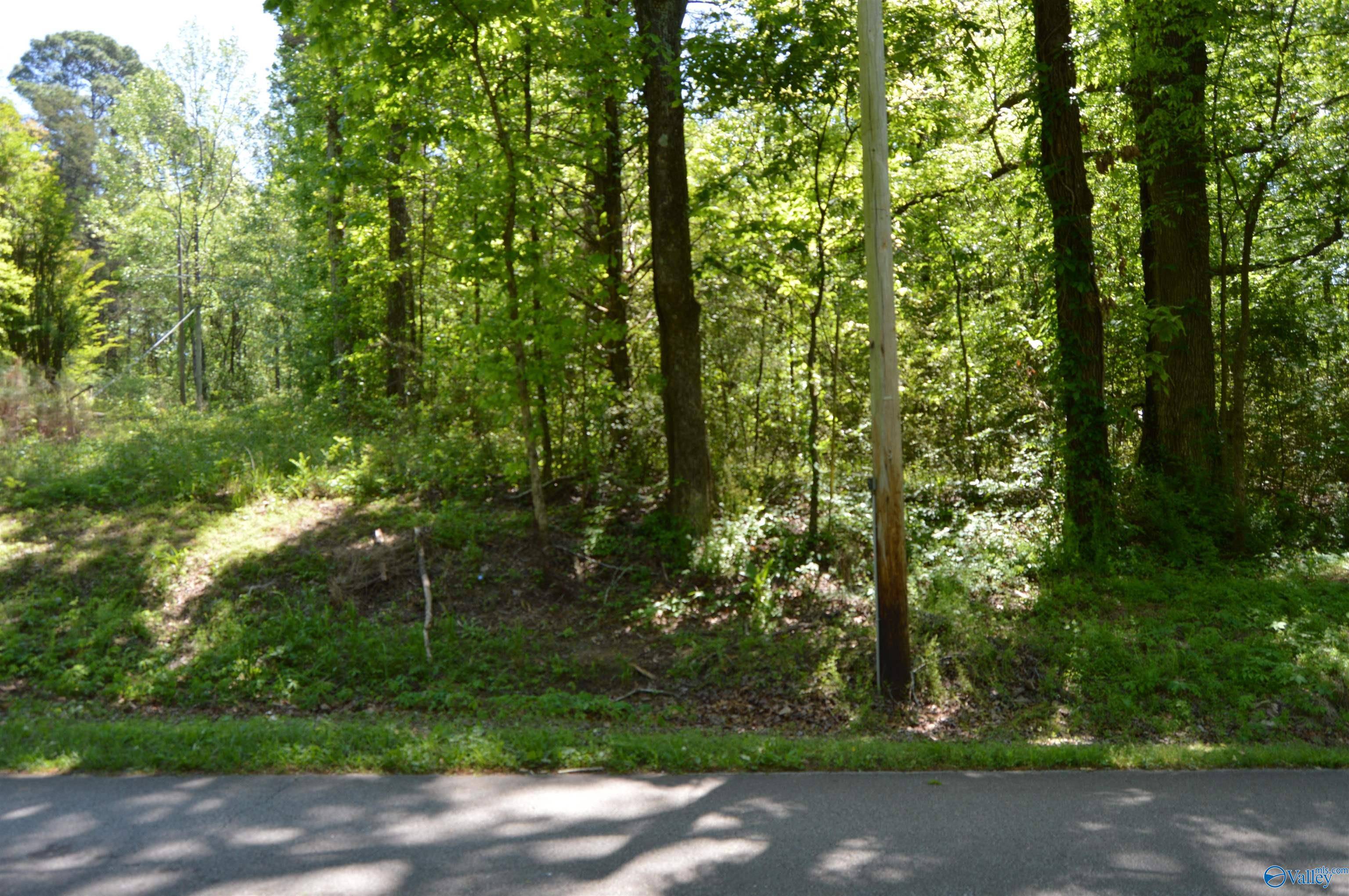 Hartselle, AL 35640,19.55 AC Herring Road