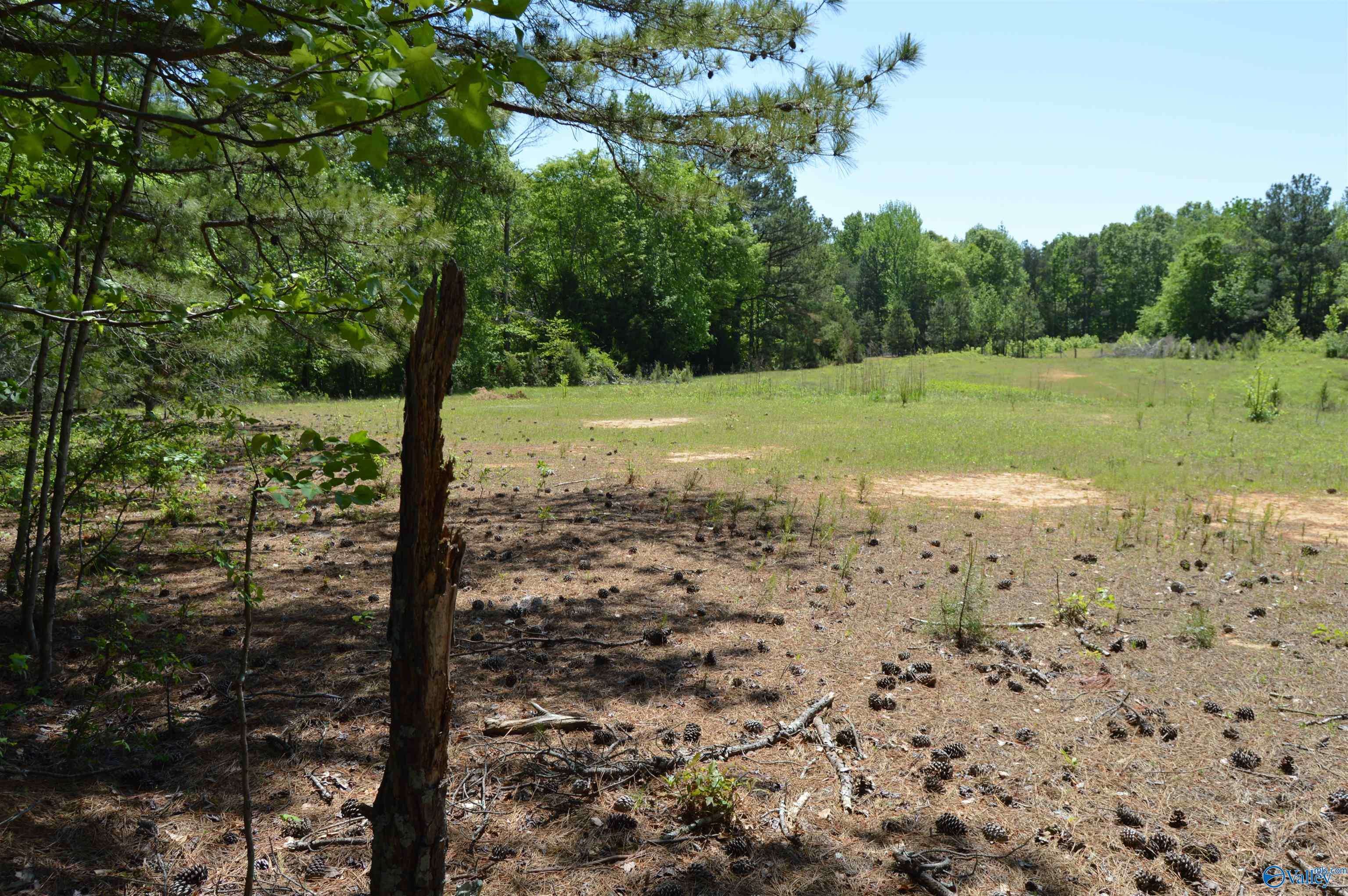 Hartselle, AL 35640,19.55 AC Herring Road