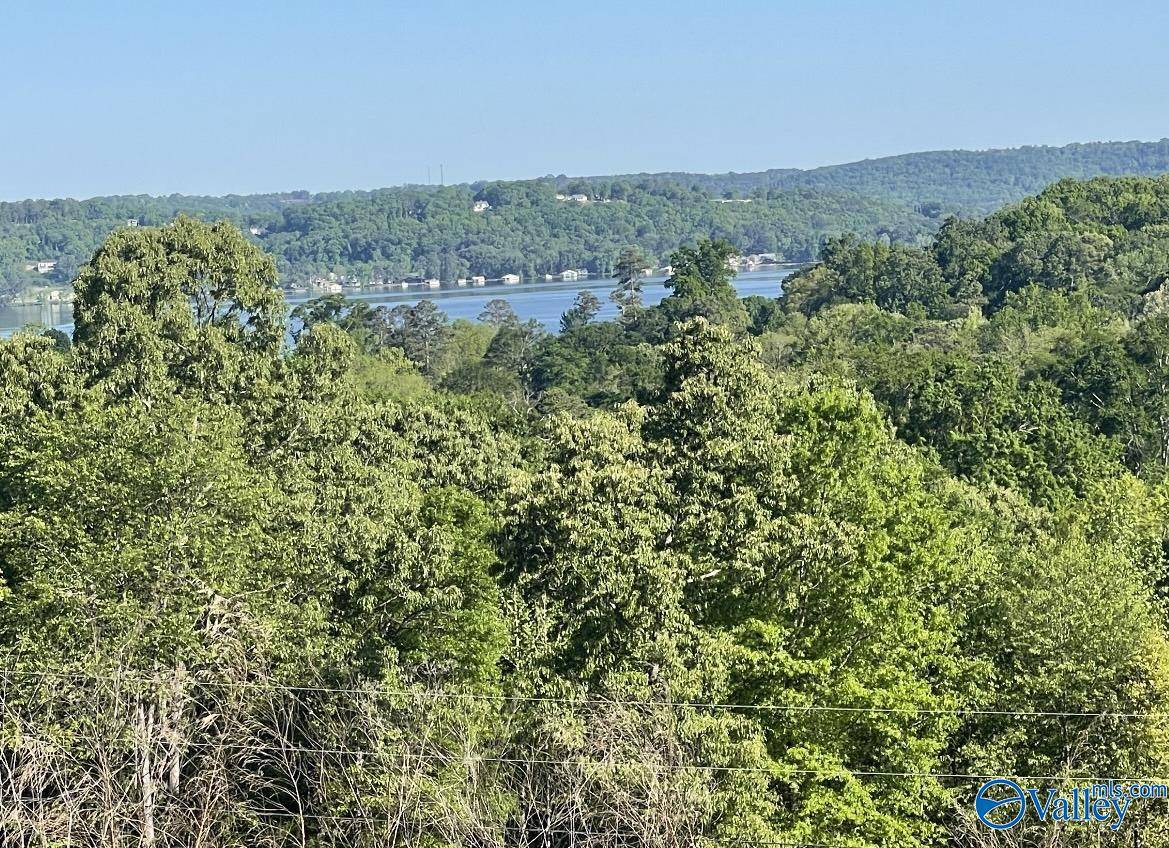 Guntersville, AL 35976,175 Buckskin Drive