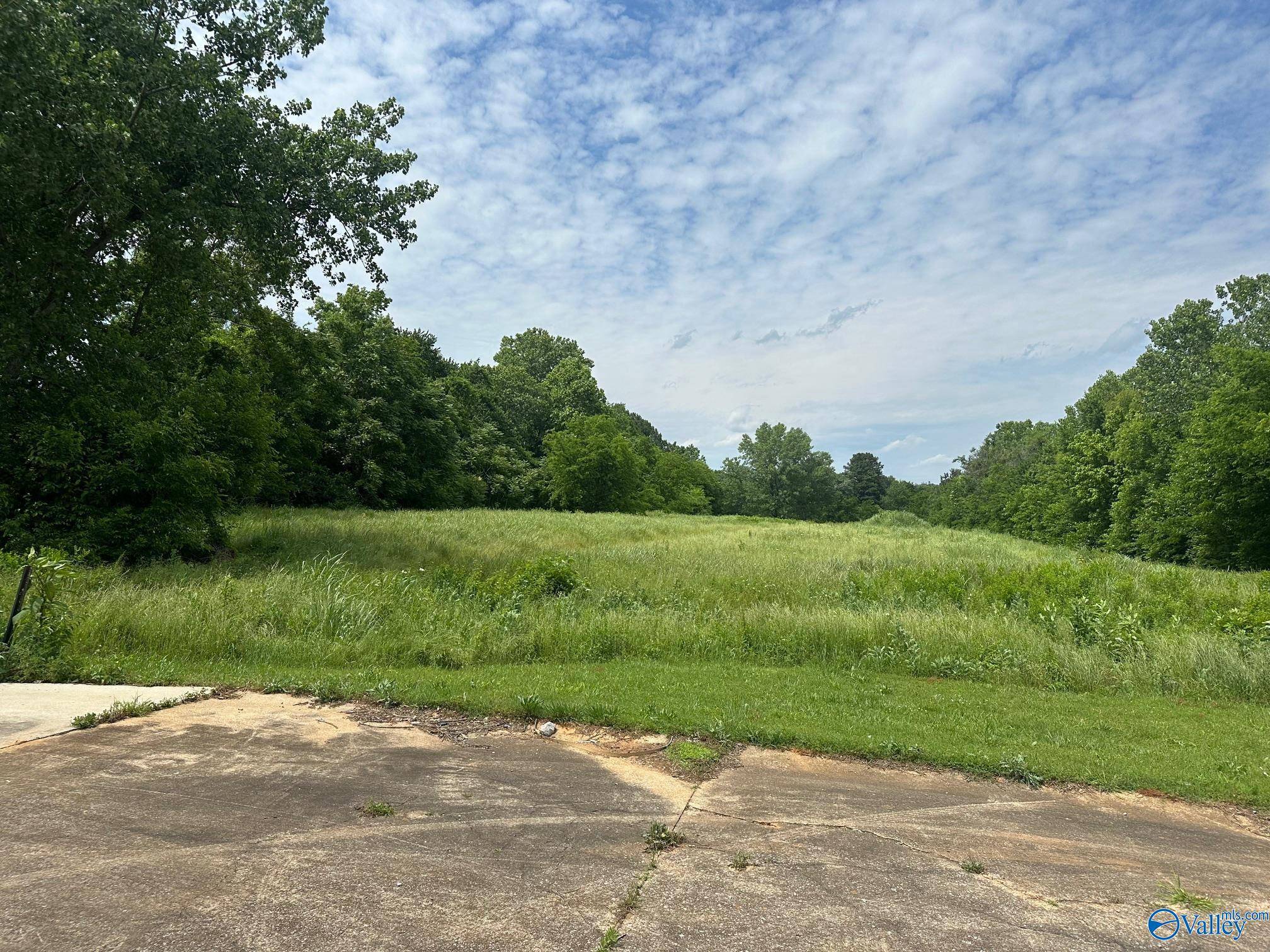 Huntsville, AL 35810,3.92 Acres Sparkman Drive