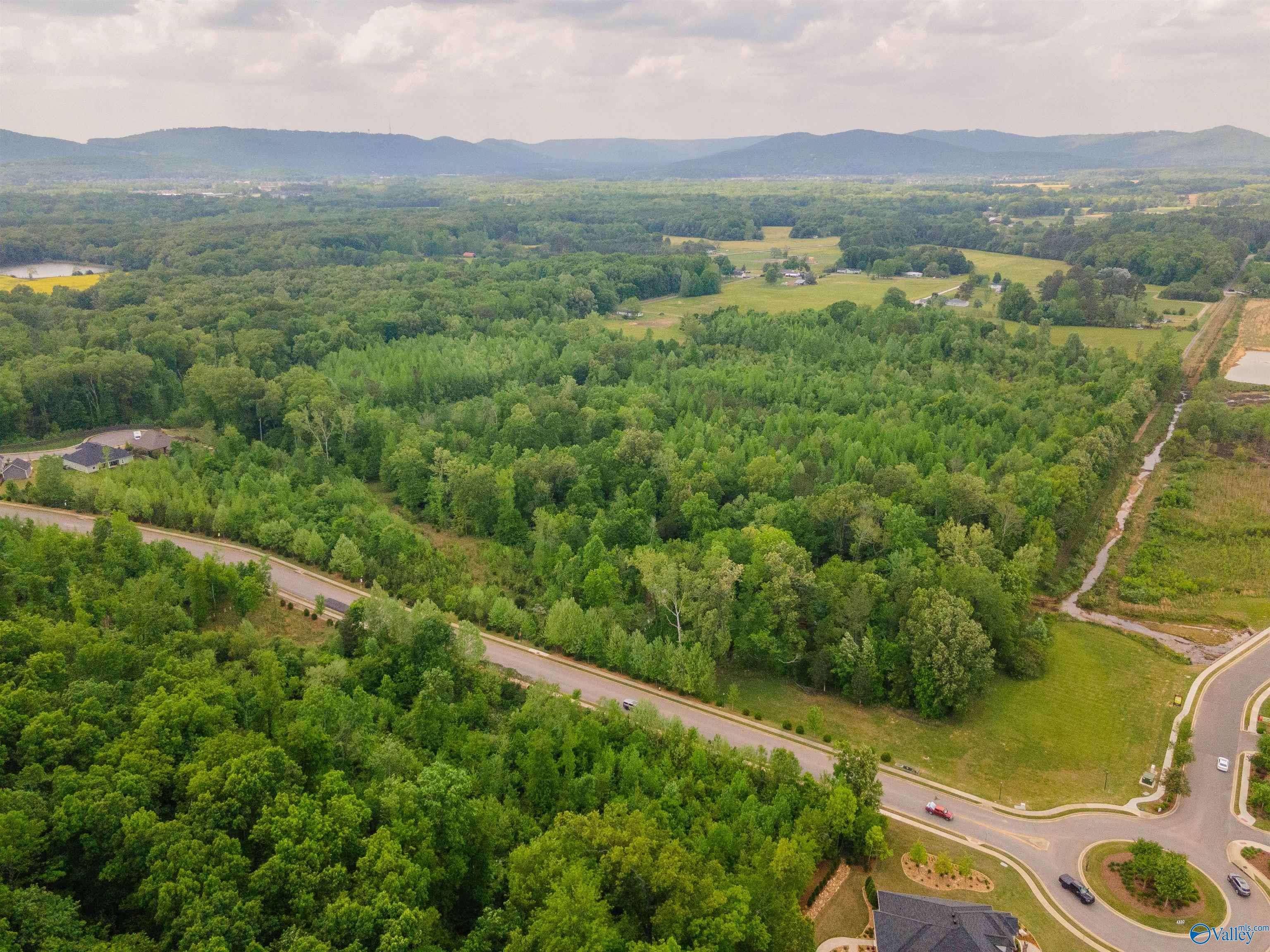 Owens Cross Roads, AL 35763,51 ACRES School Road