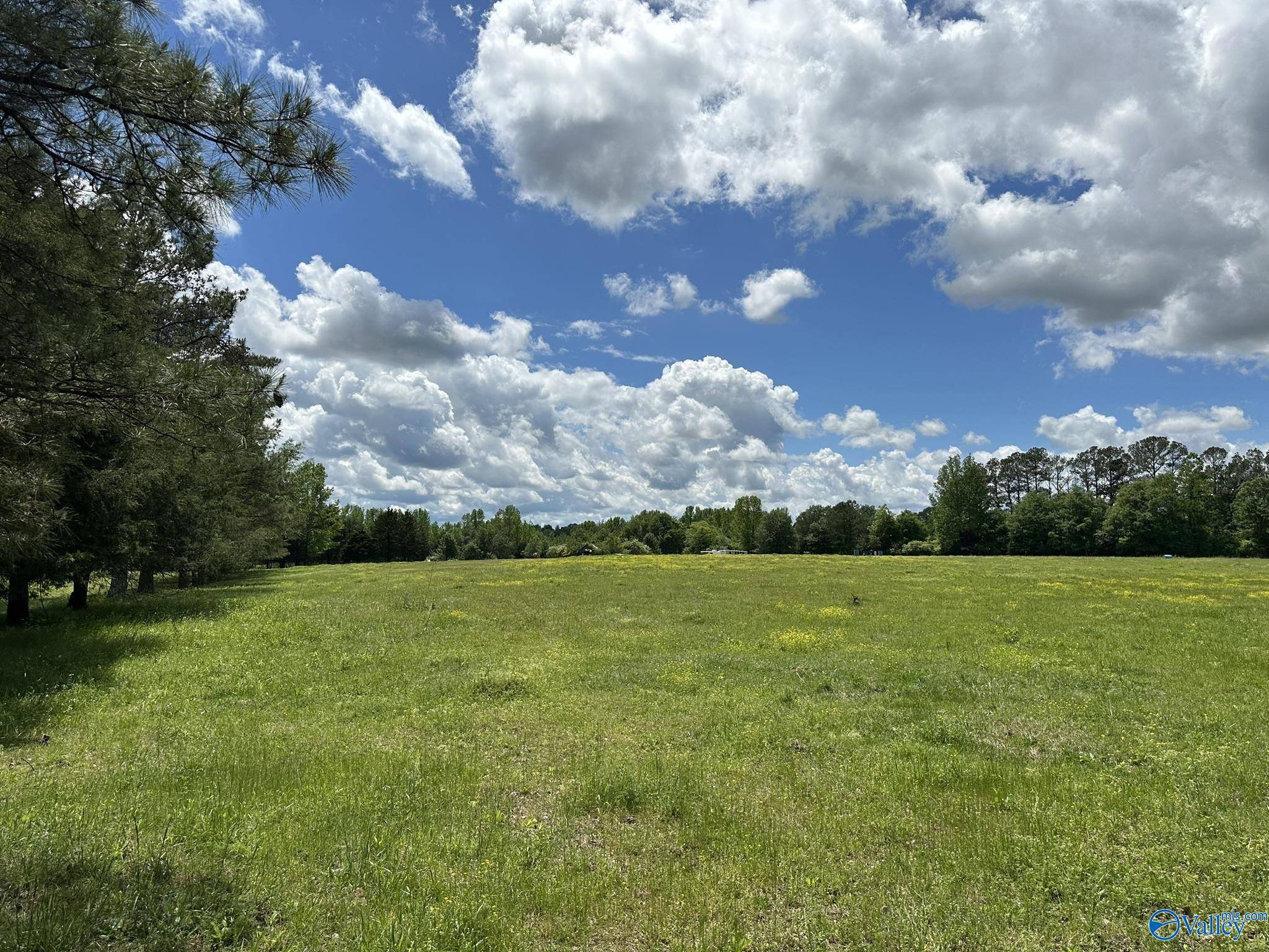 Hartselle, AL 35640,16 Acres Wallace Drive