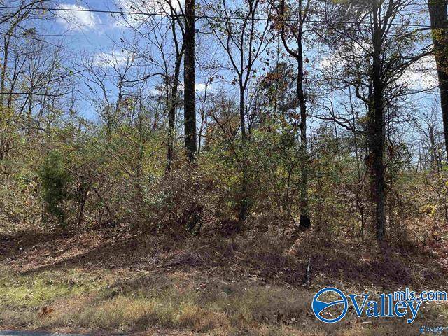 Sand Rock, AL 35983,LOT 2 County Road 166