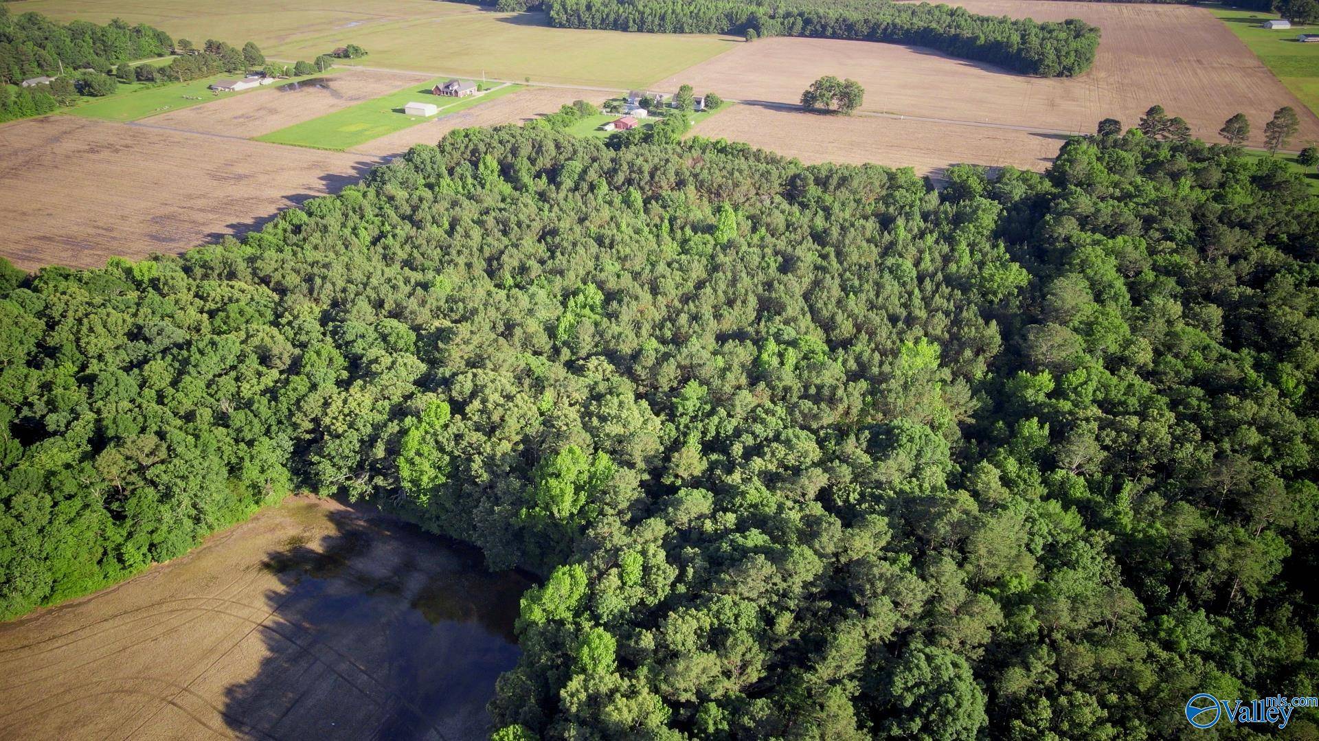 Athens, AL 35614,24 Acres Sewell Road