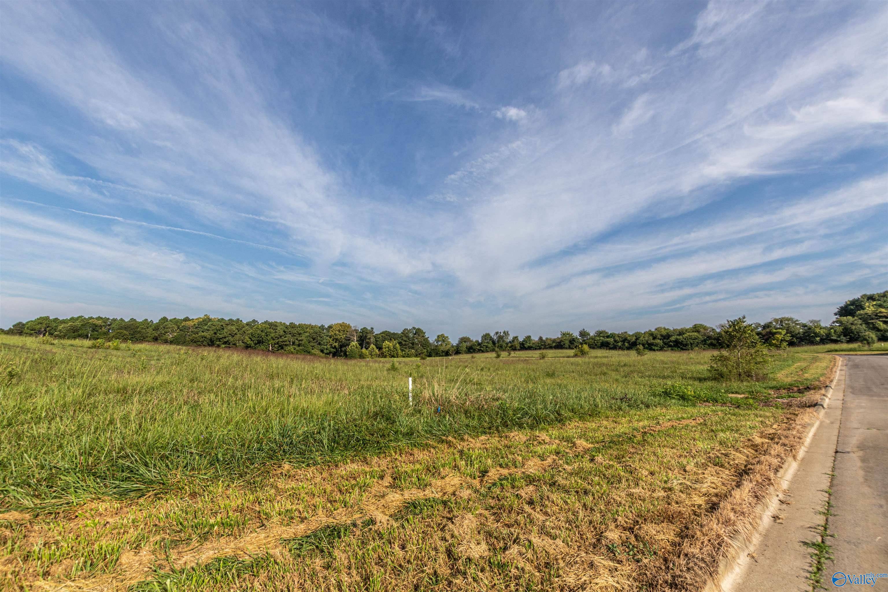 Albertville, AL 35951,Lot 34 Krimson Circle