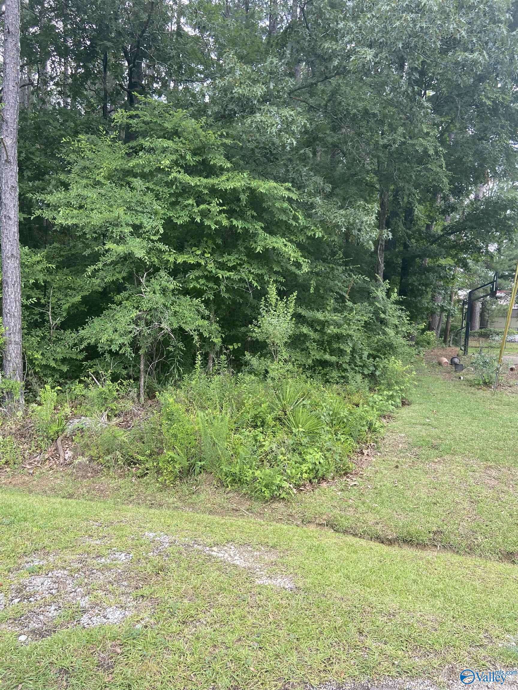 Gadsden, AL 35901,Lot 16 & 17 Browning Circle