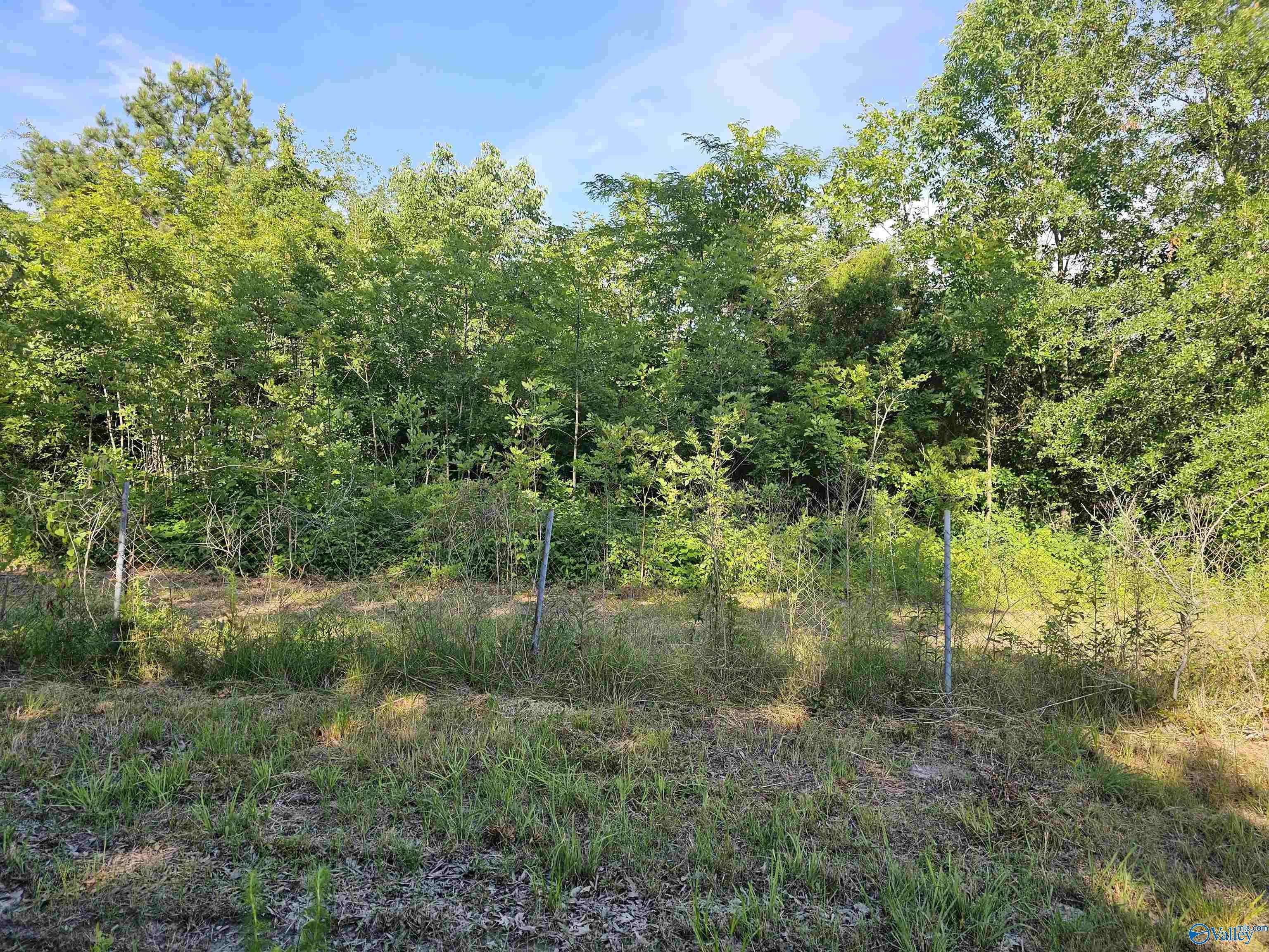 Falkville, AL 35640,20 Acres #2 Lee Road E