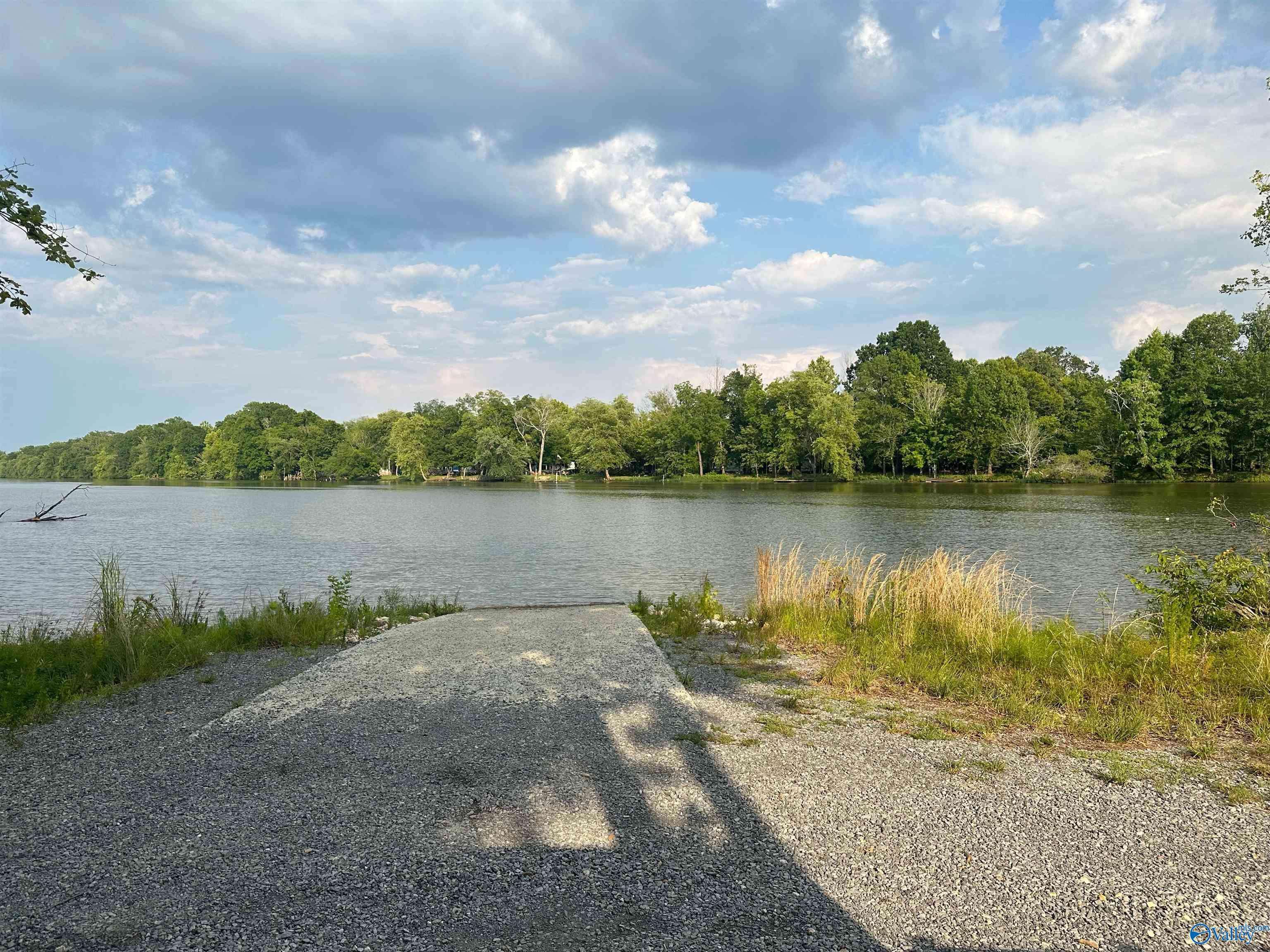 Cedar Bluff, AL 35959,1725 County Road 182 #Lot 65