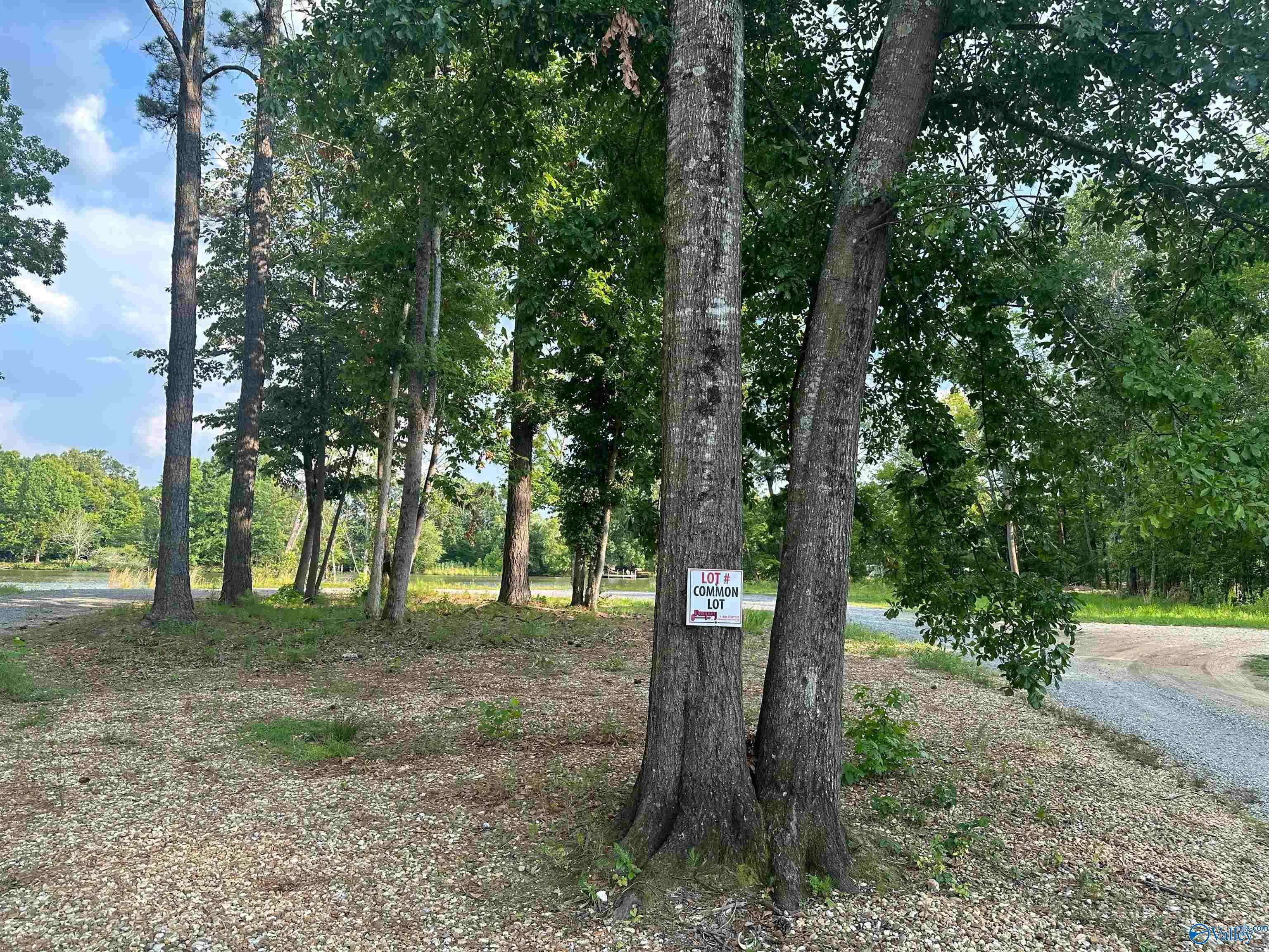 Cedar Bluff, AL 35959,1725 County Road 182 #Lot 65