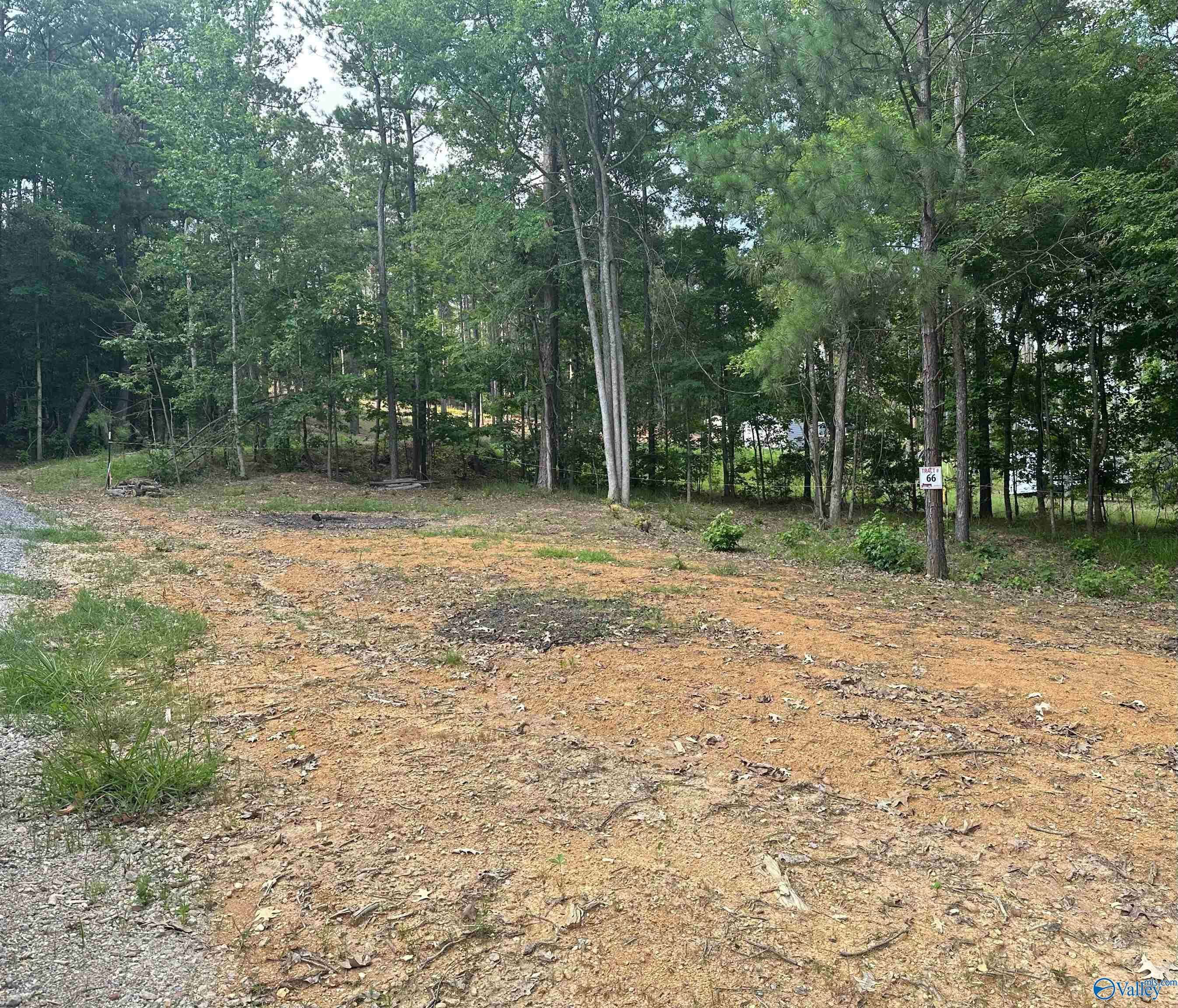 Cedar Bluff, AL 35959,1725 County Road 182 #Lot 66