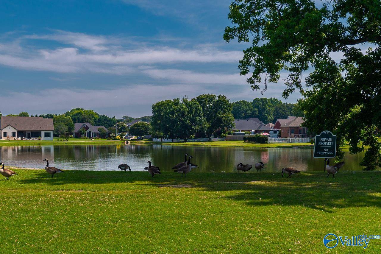 Hartselle, AL 35640,3201 Dale Hollow Drive