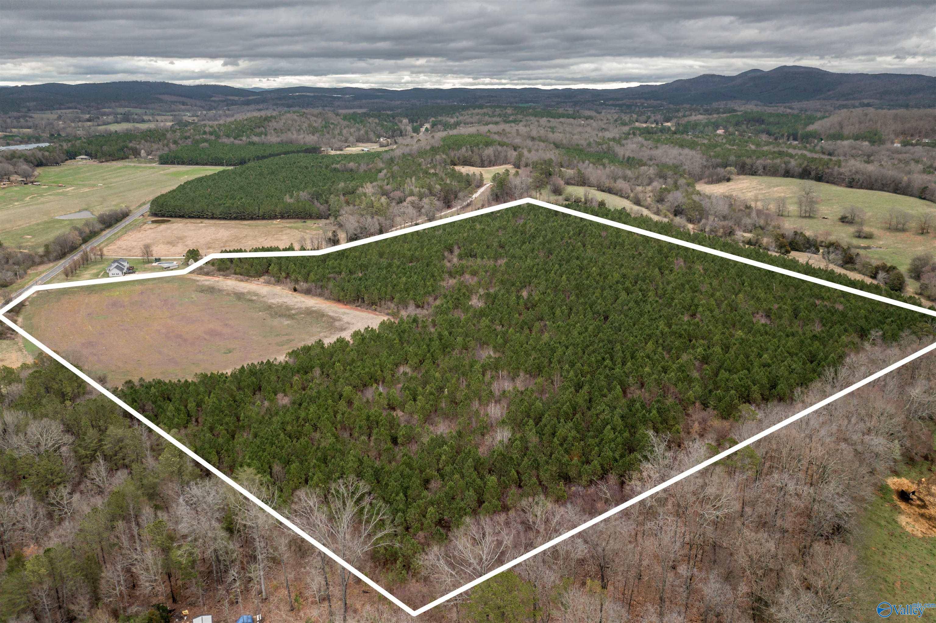 Piedmont, AL 36272,40 Acre County Road 29