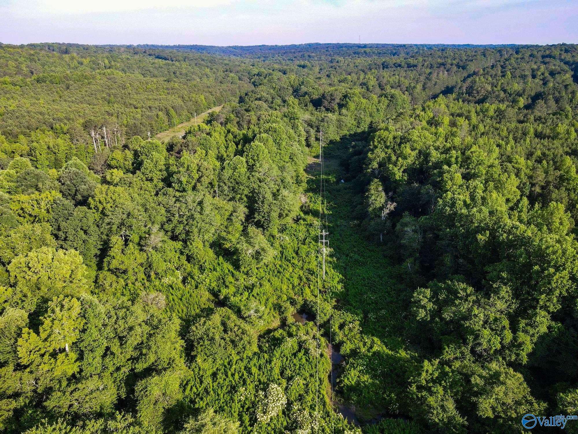 Fort Payne, AL 35967,30 acres County Road 261