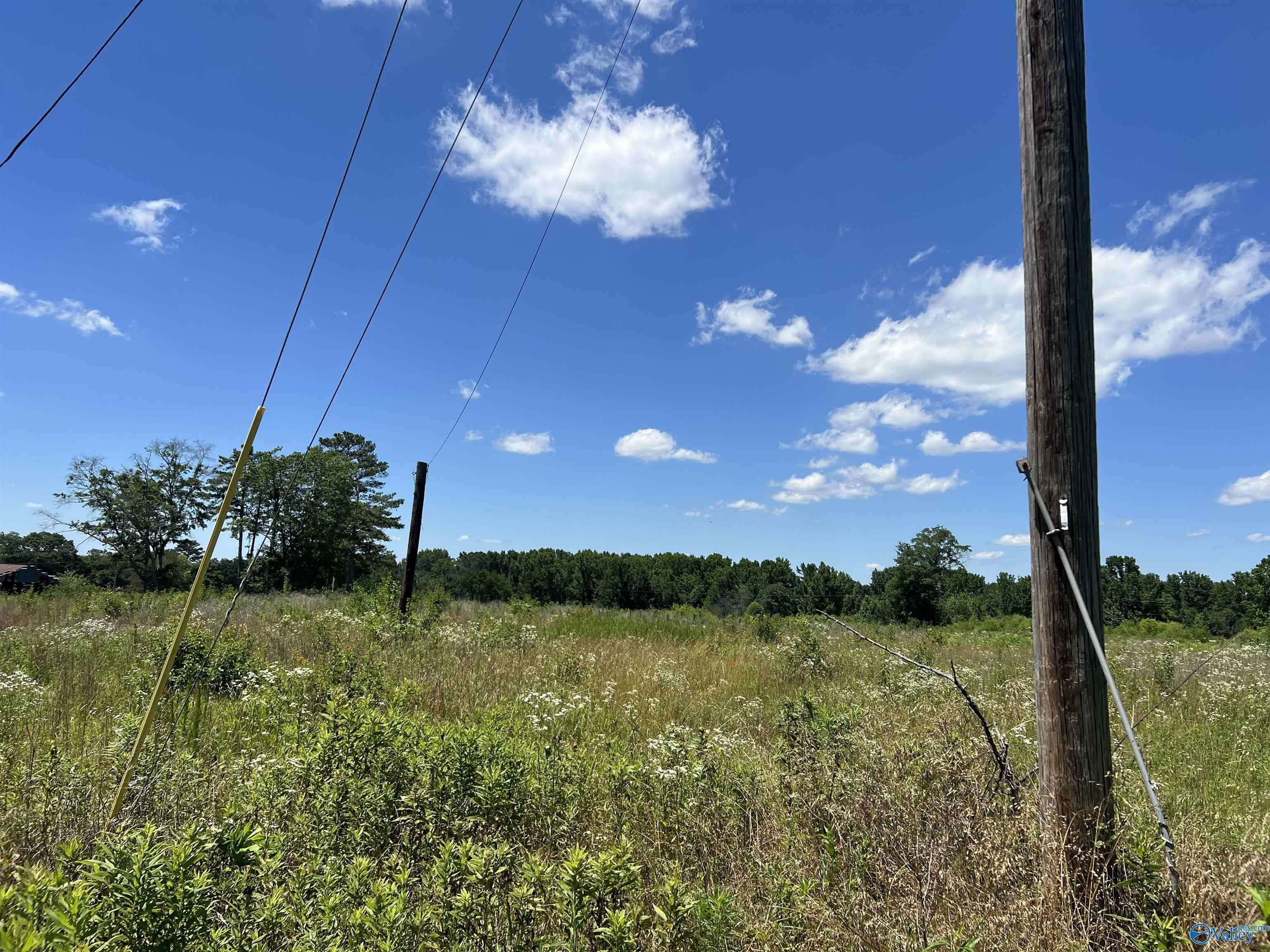 Boaz, AL 35956,Lot 1 Wrenn Road