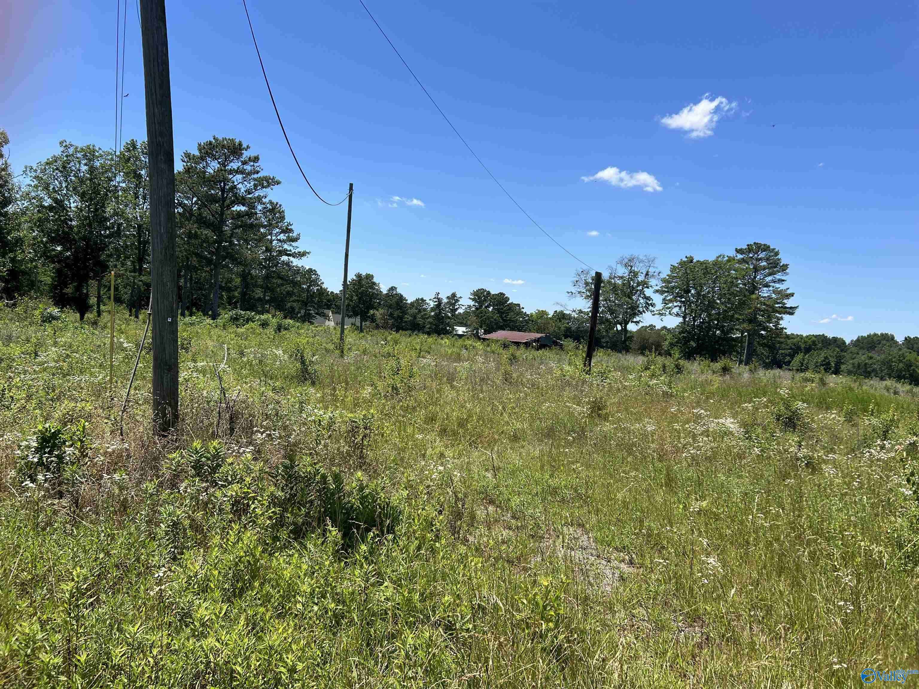 Boaz, AL 35956,Lot 1 Wrenn Road