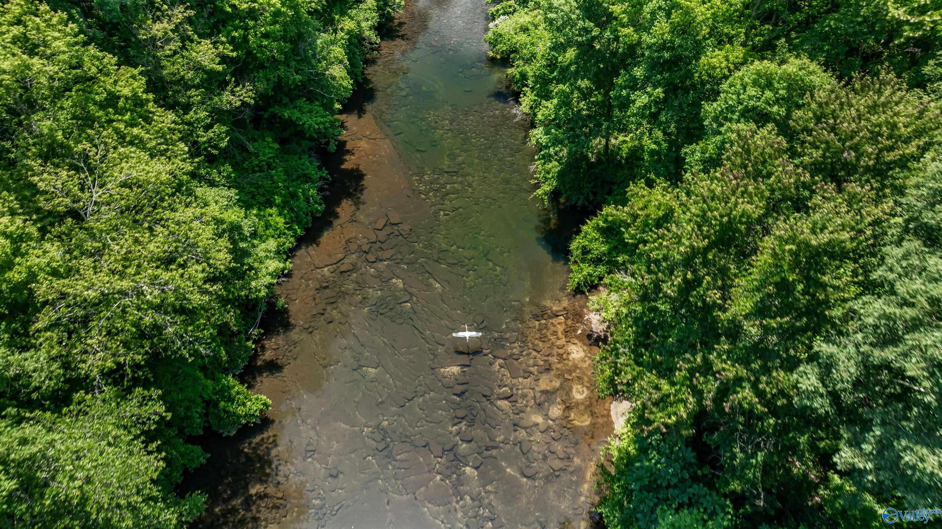 Mentone, AL 35984,23ACRES County Road 633