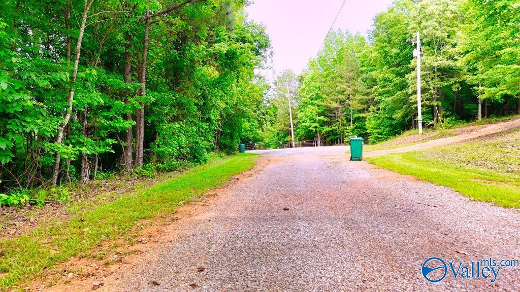 Piedmont, AL 36272,675 County Road 328