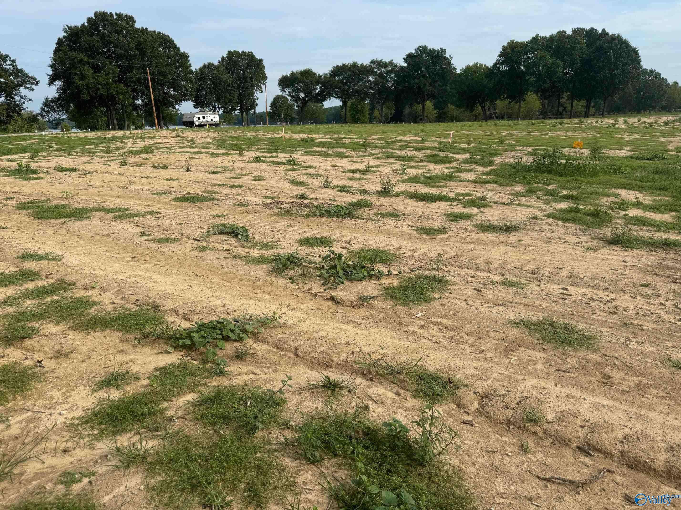 Cedar Bluff, AL 35959,71 County Road 115