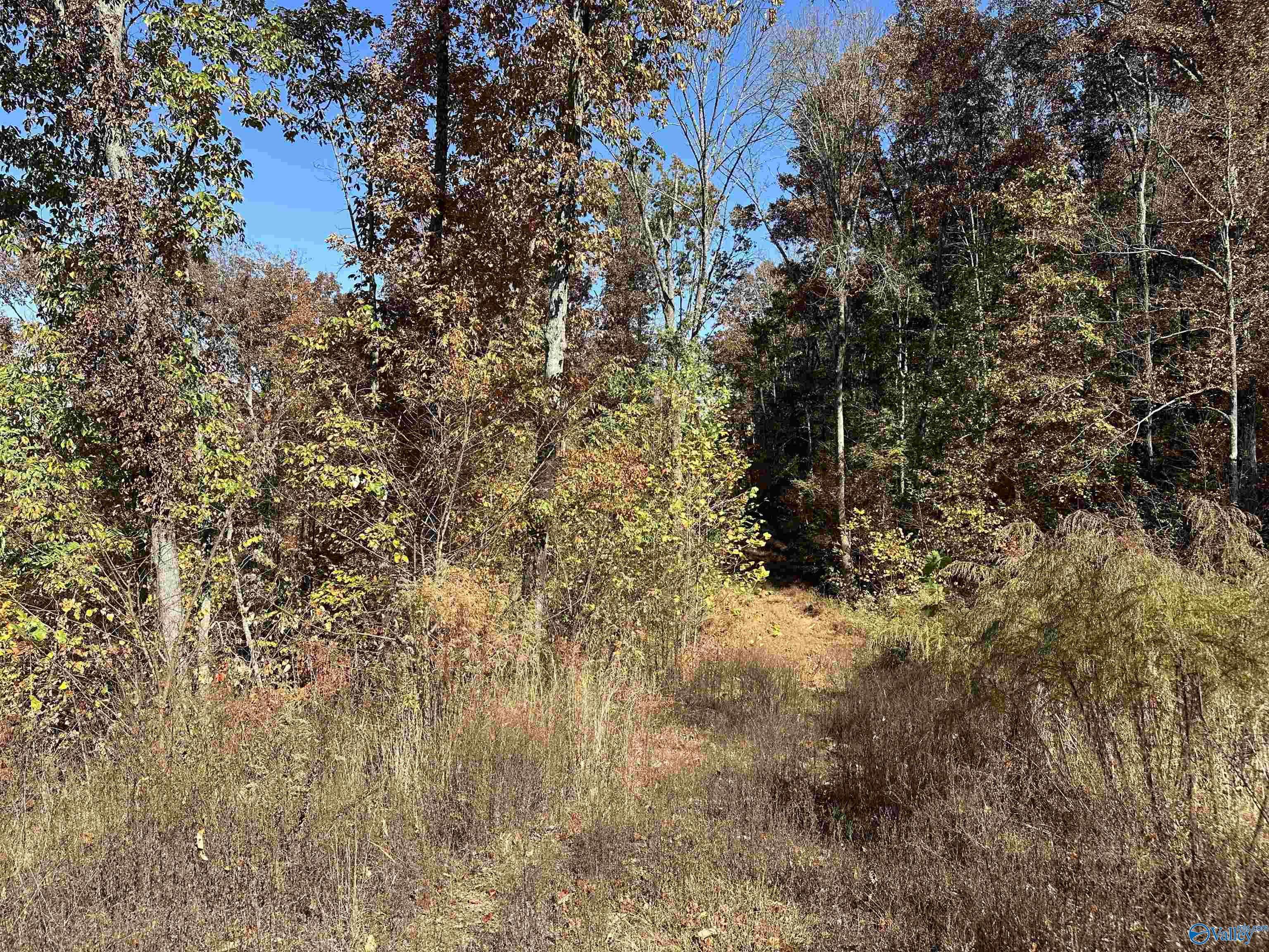 Gurley, AL 35748,4 acres Keel Mountain Road