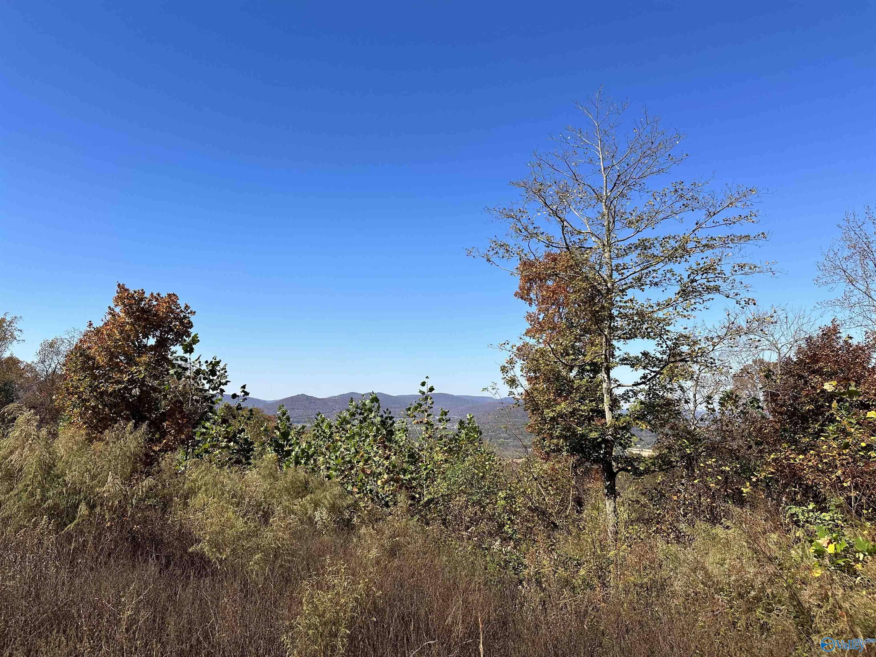 Gurley, AL 35748,4 acres Keel Mountain Road