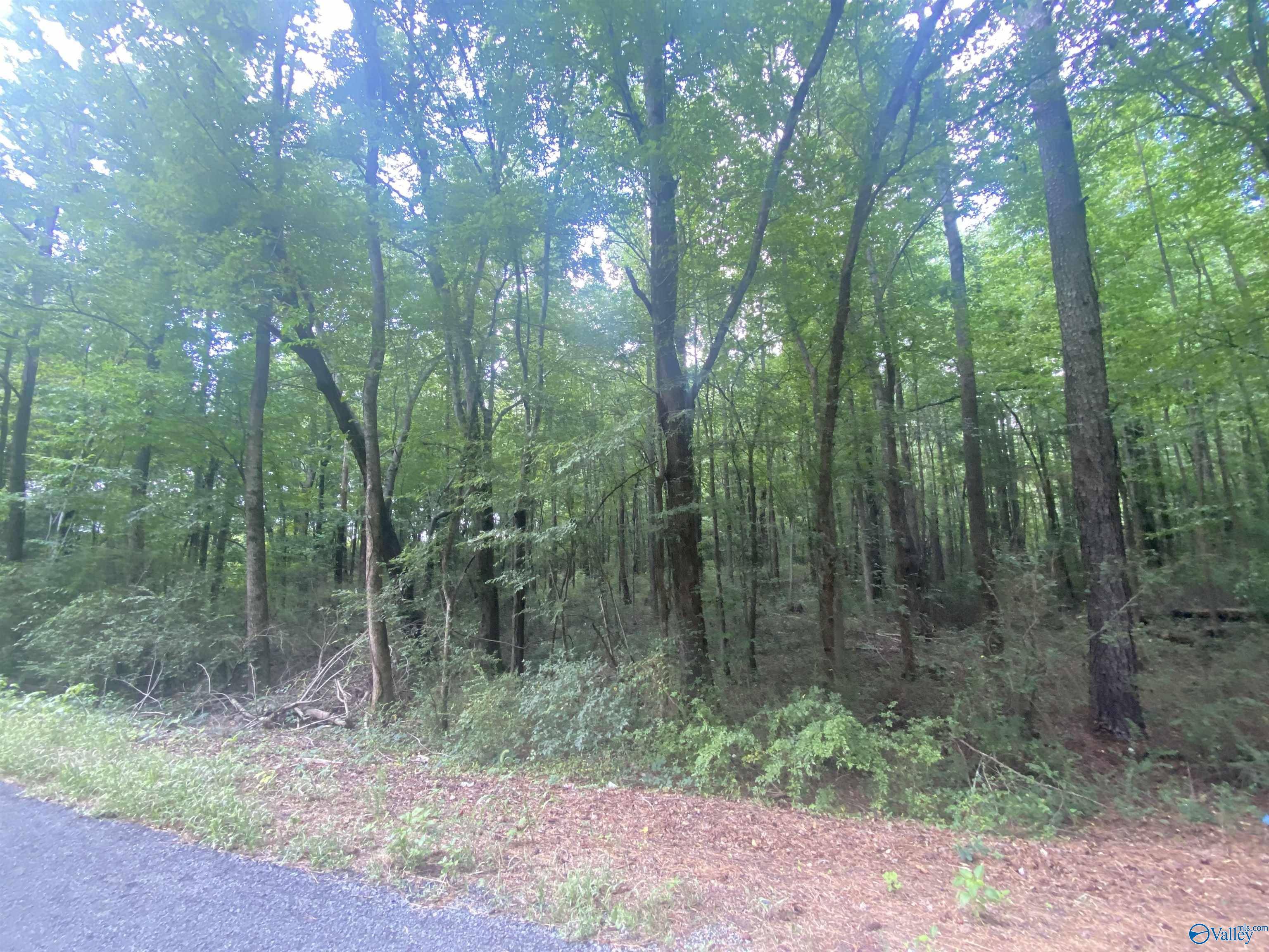 Crossville, AL 35962,63 ACRES County Road 20