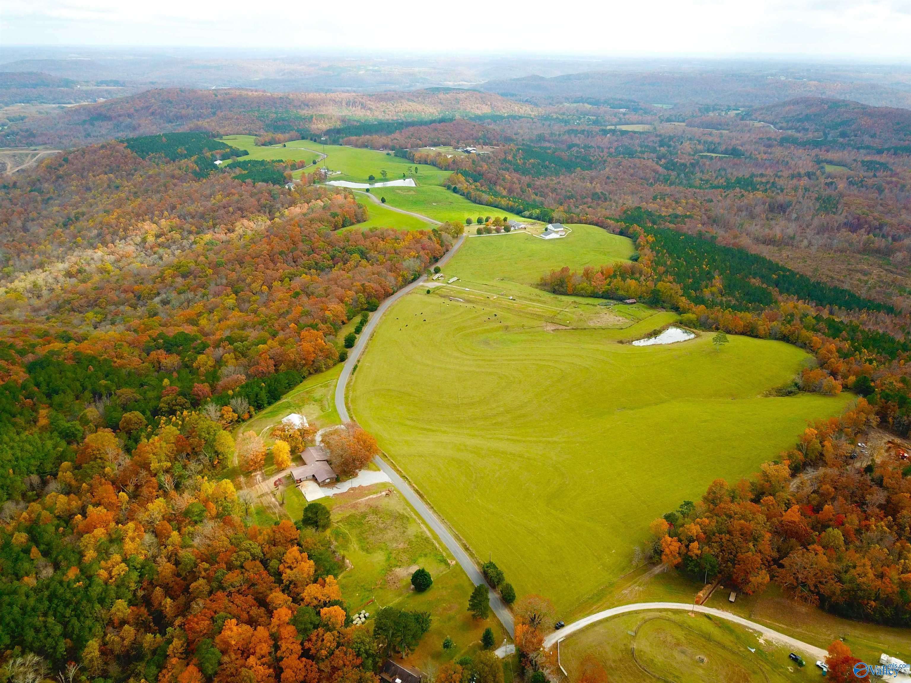 Eva, AL 35621,33 ACRES Latham
