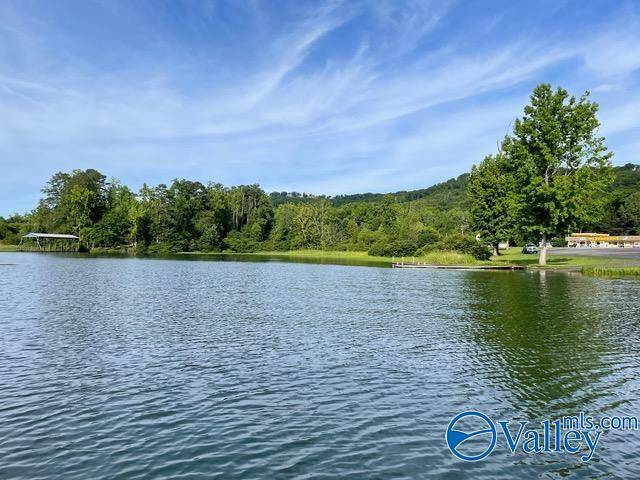 Scottsboro, AL 35769,6 acres Pine Island Point