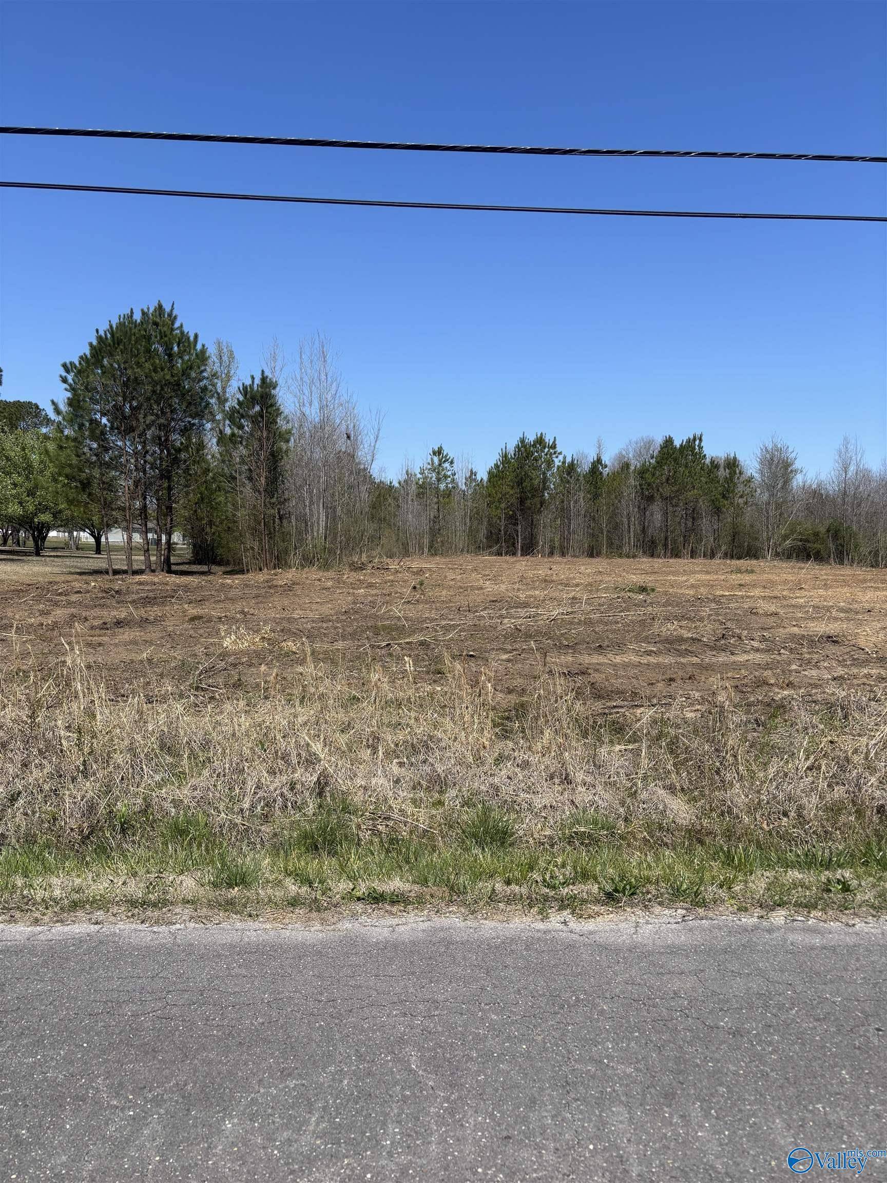 Hartselle, AL 35640,LOT 1 Salem Road