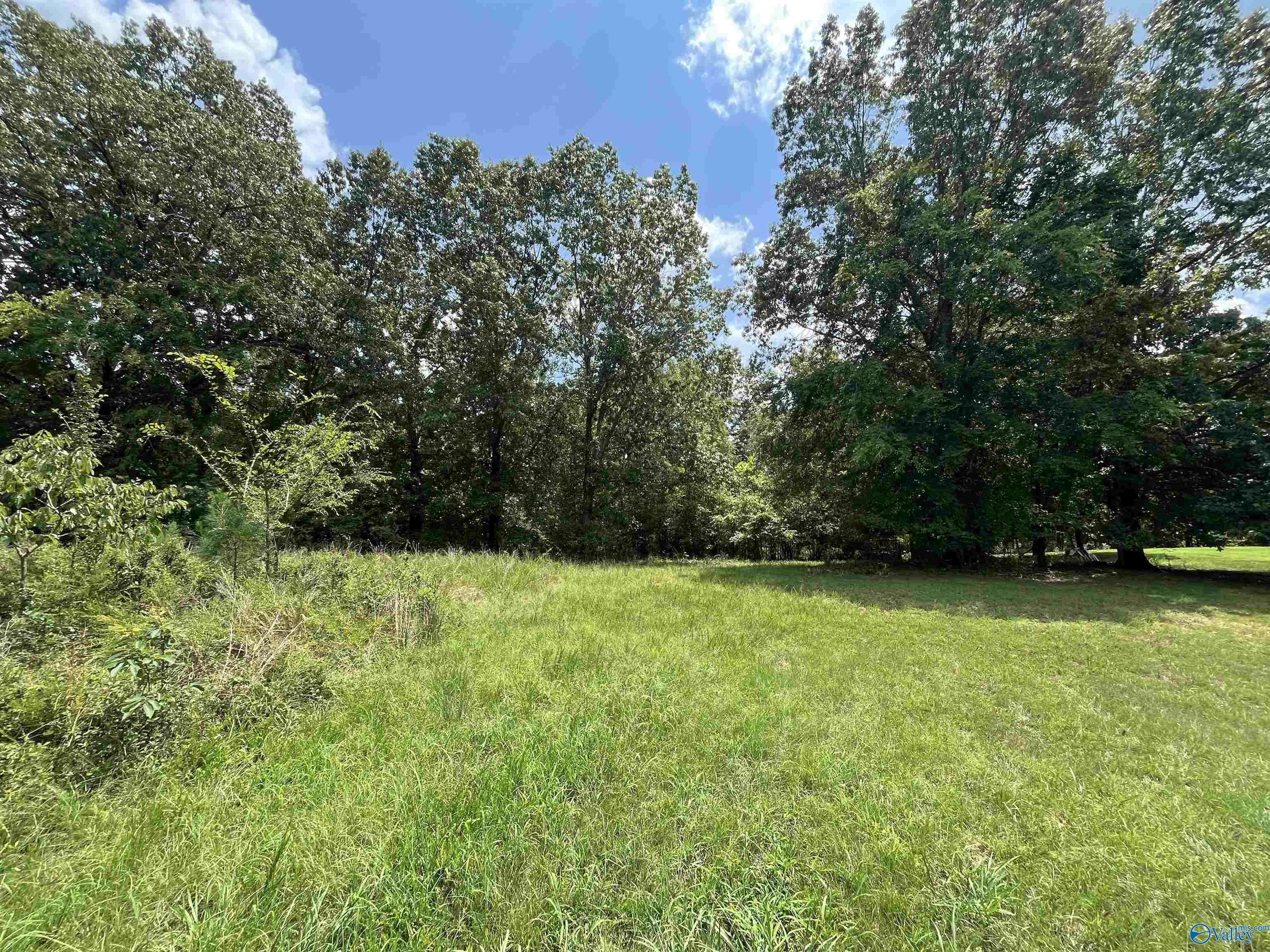 Scottsboro, AL 35769,219 LOT Lookout Mountain Drive