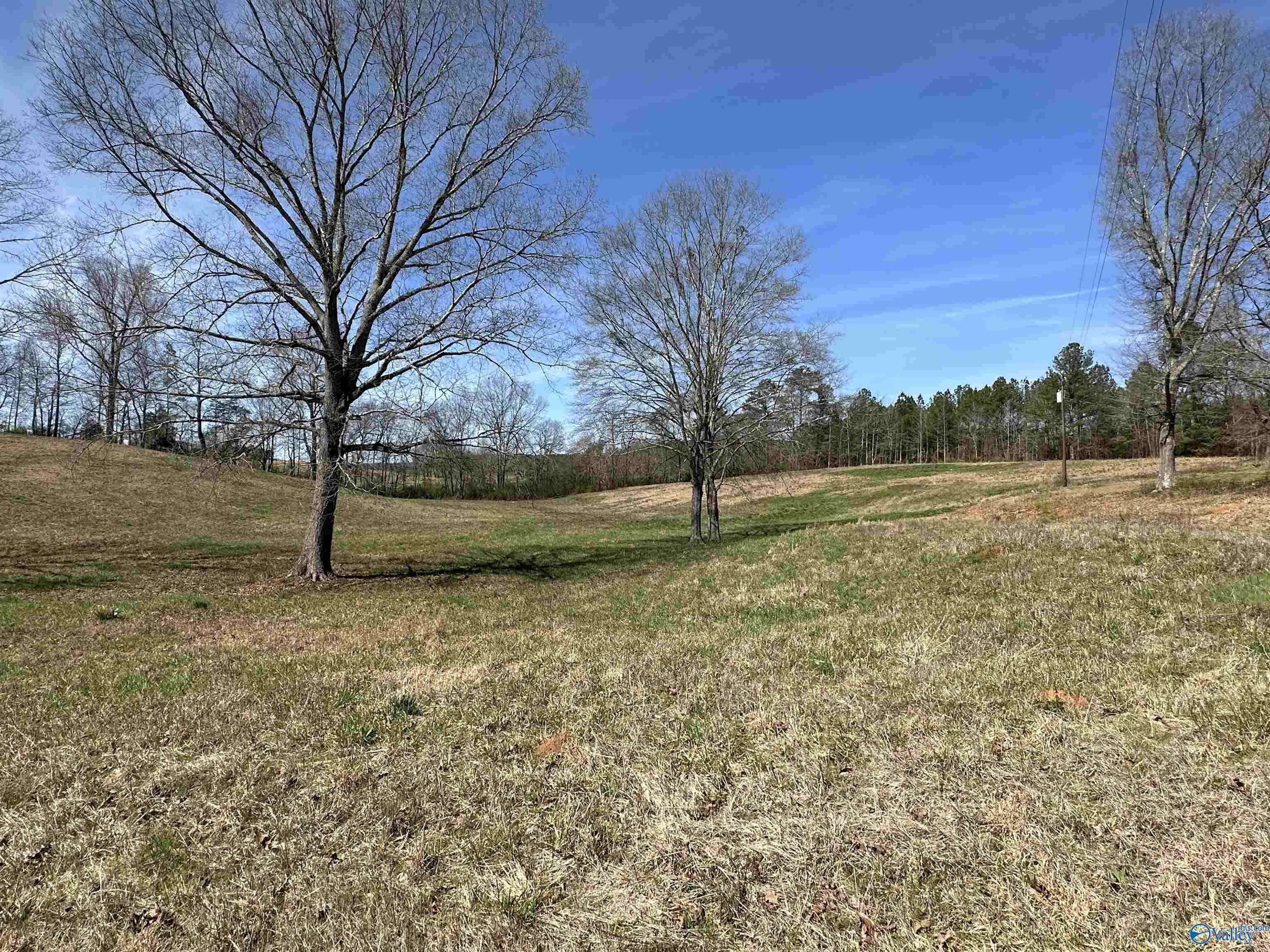 Attalla, AL 35954,6.1 Acres Duck Springs Road