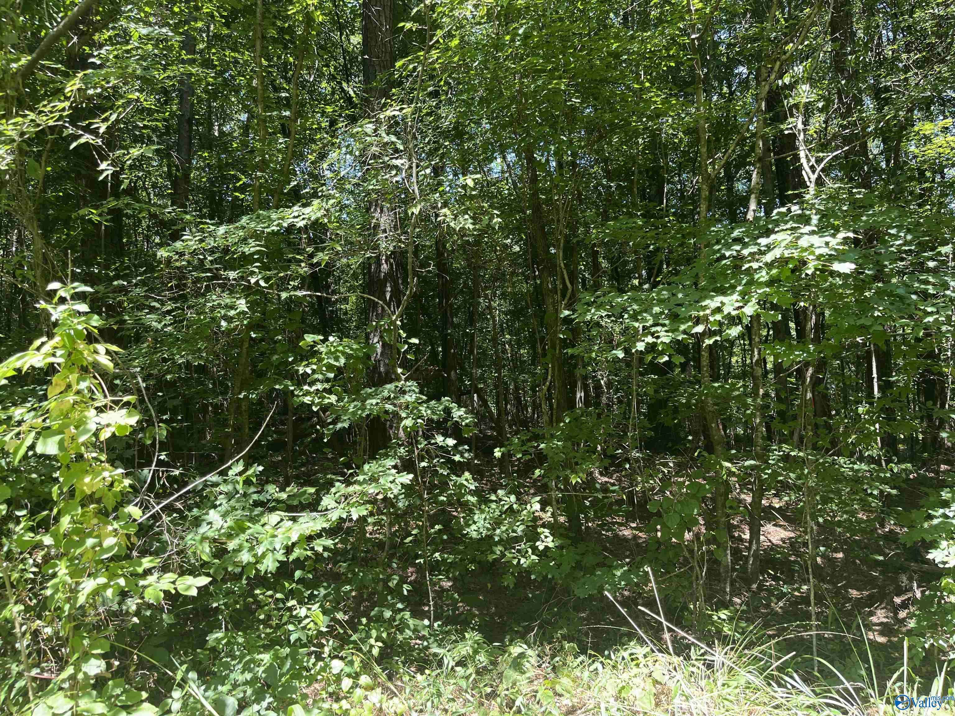 Hokes Bluff, AL 35903,23 acres Tanglewood Trail