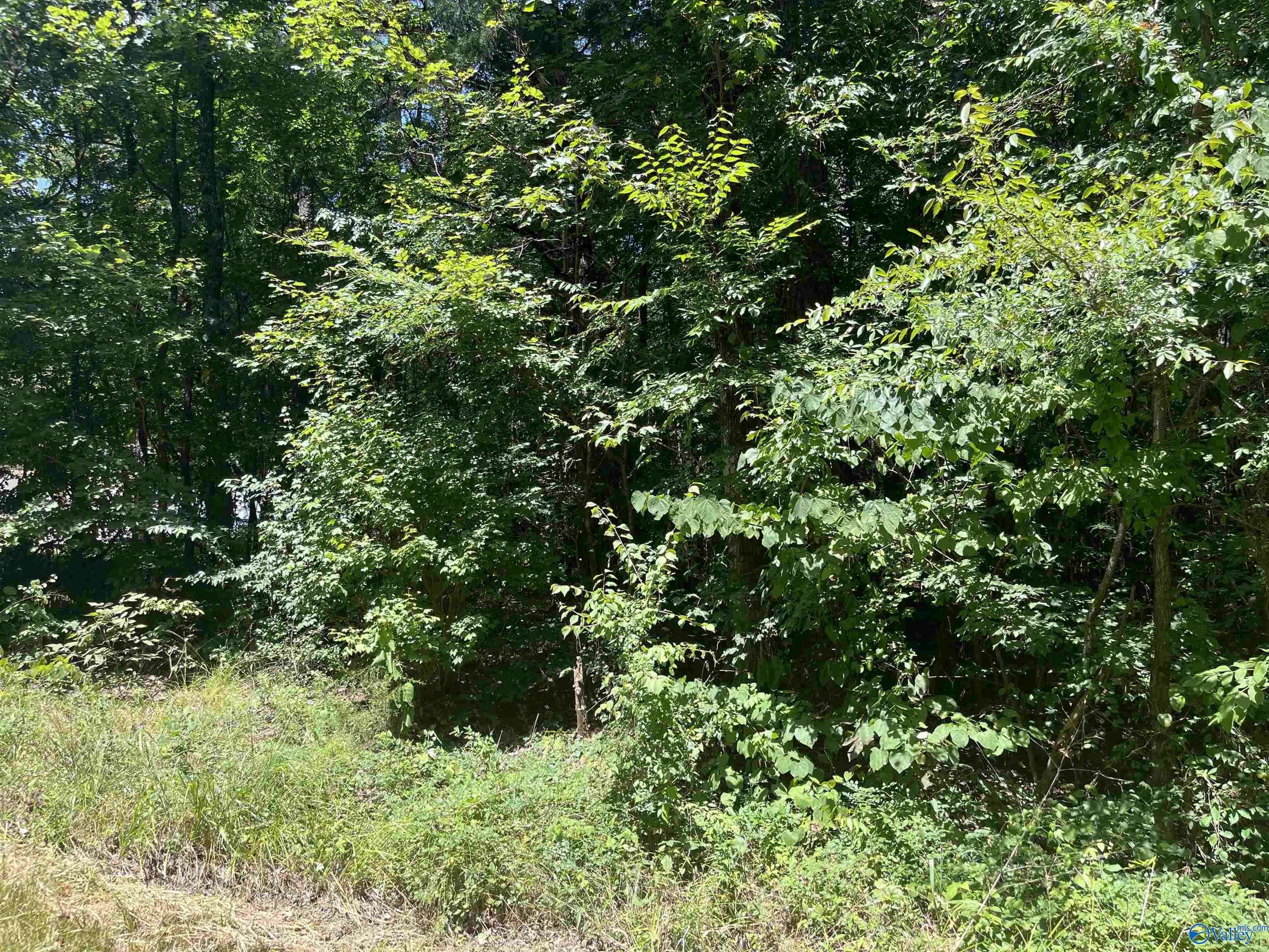 Hokes Bluff, AL 35903,23 acres Tanglewood Trail