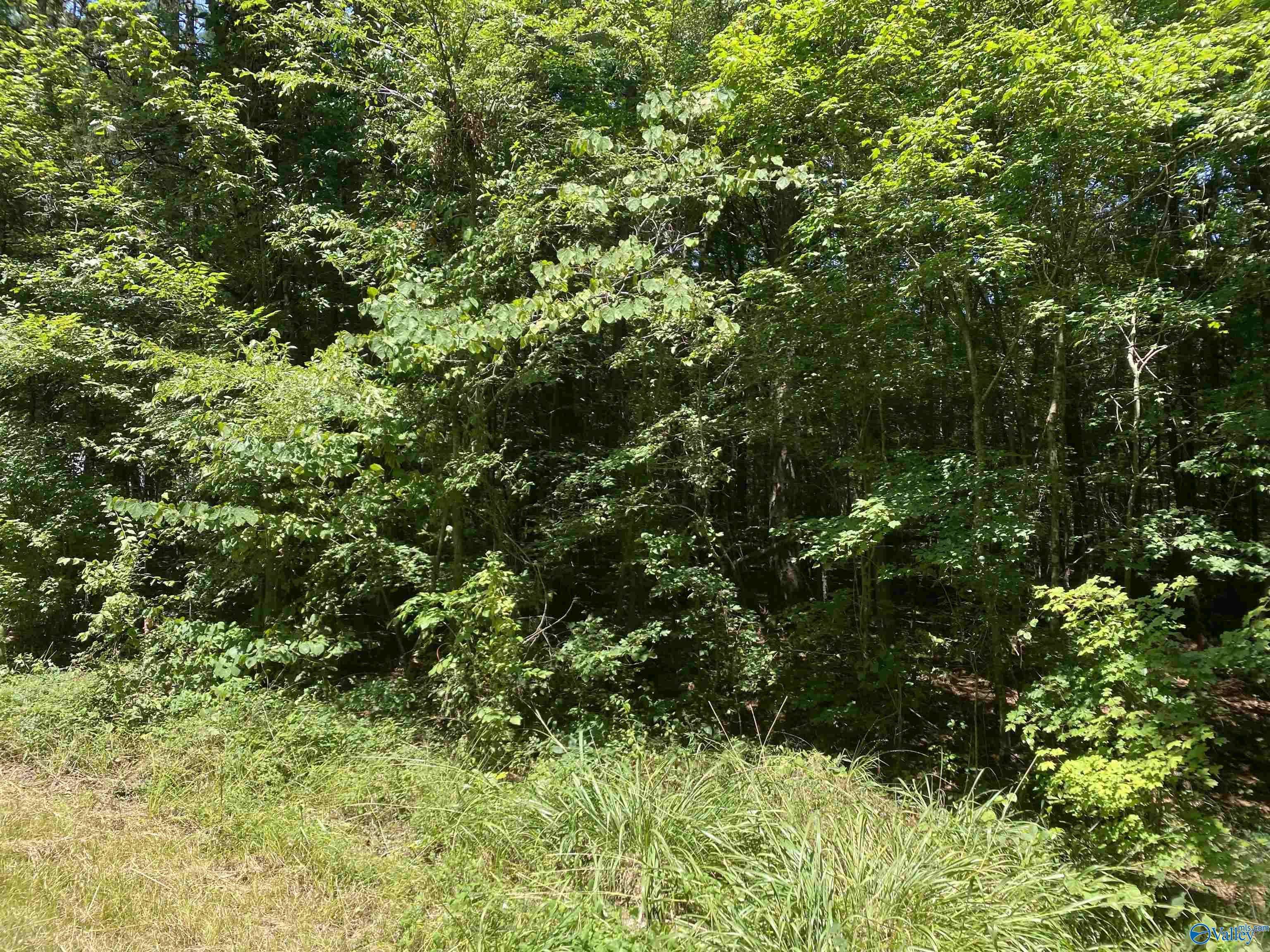 Hokes Bluff, AL 35903,23 acres Tanglewood Trail